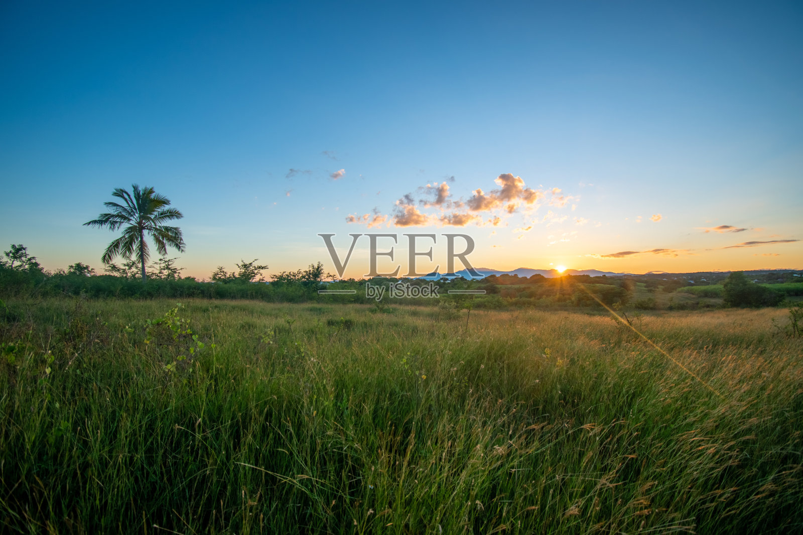 田野里的日落照片摄影图片