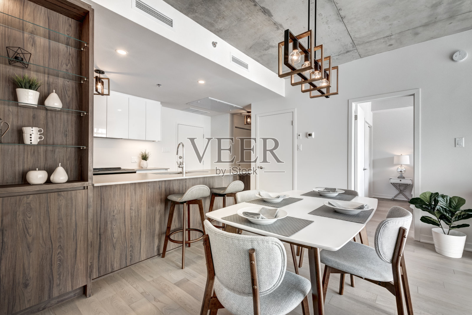 全新现代家具的加拿大风格公寓照片摄影图片