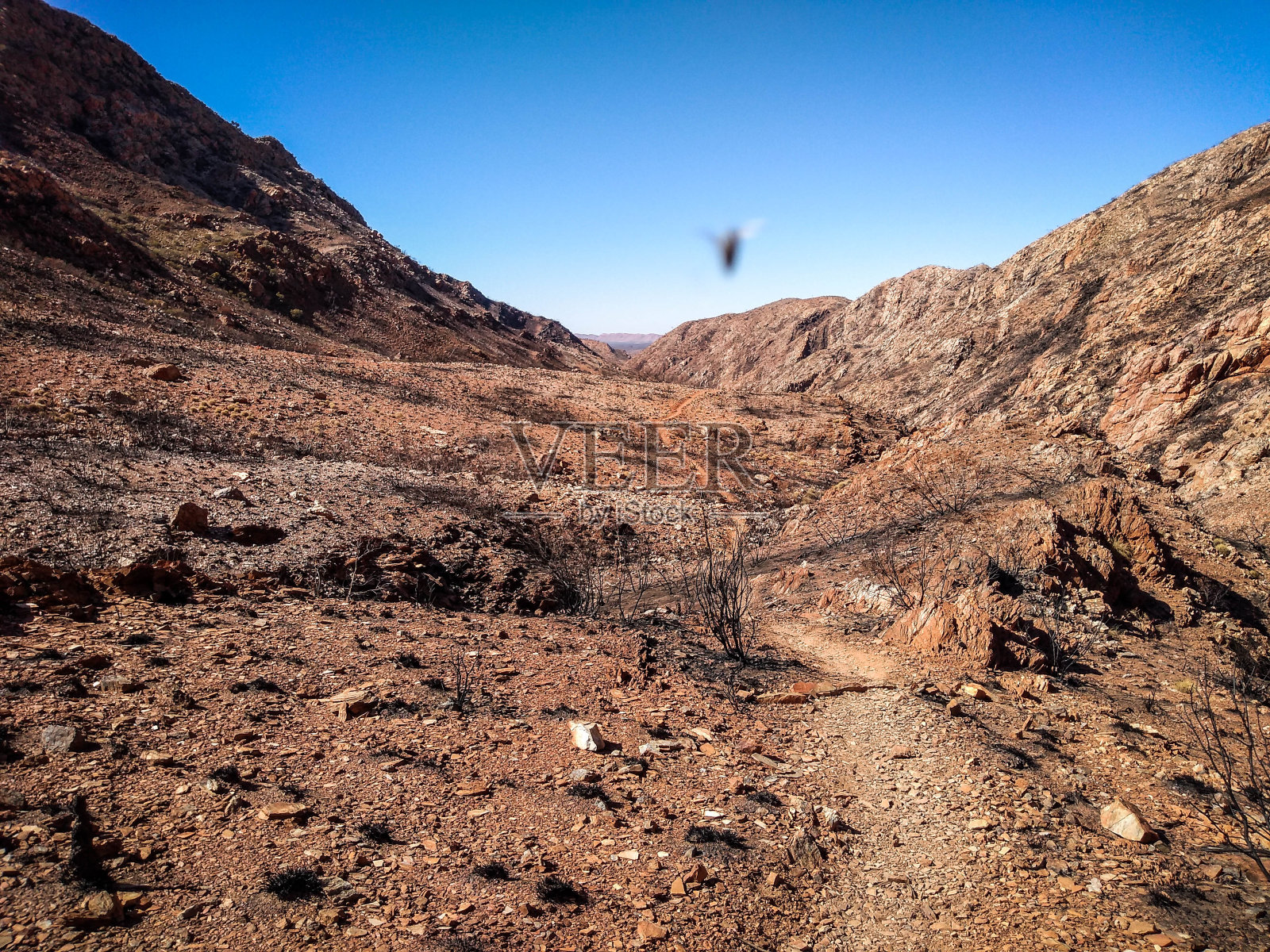 澳大利亚红中心照片摄影图片