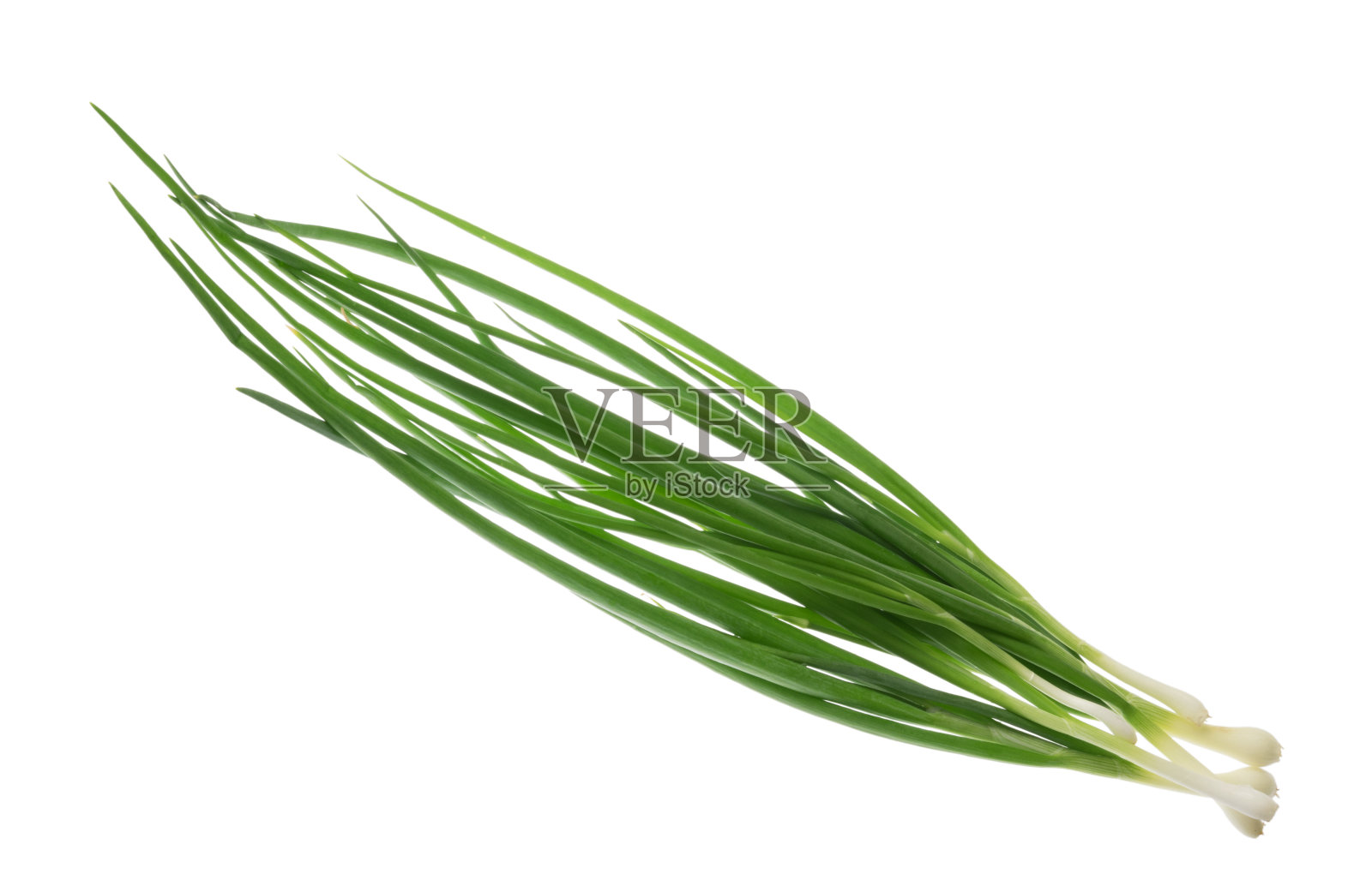 一束绿色洋葱孤立，没有阴影裁剪路径照片摄影图片