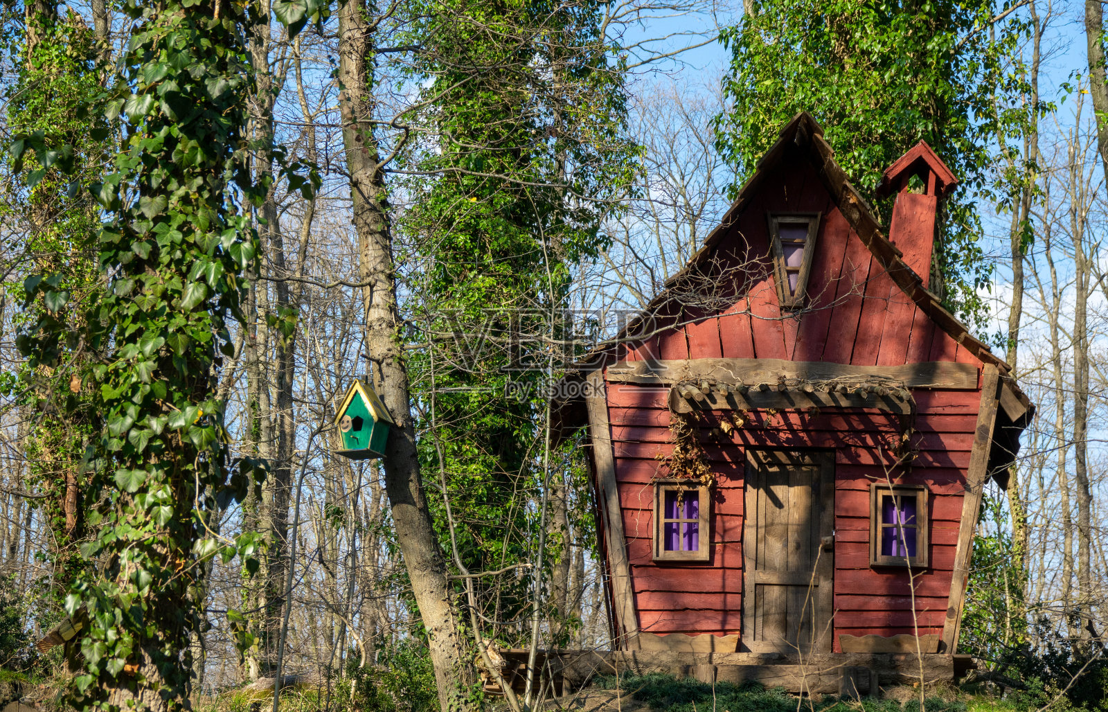 森林中的花朵间的童话小屋照片摄影图片
