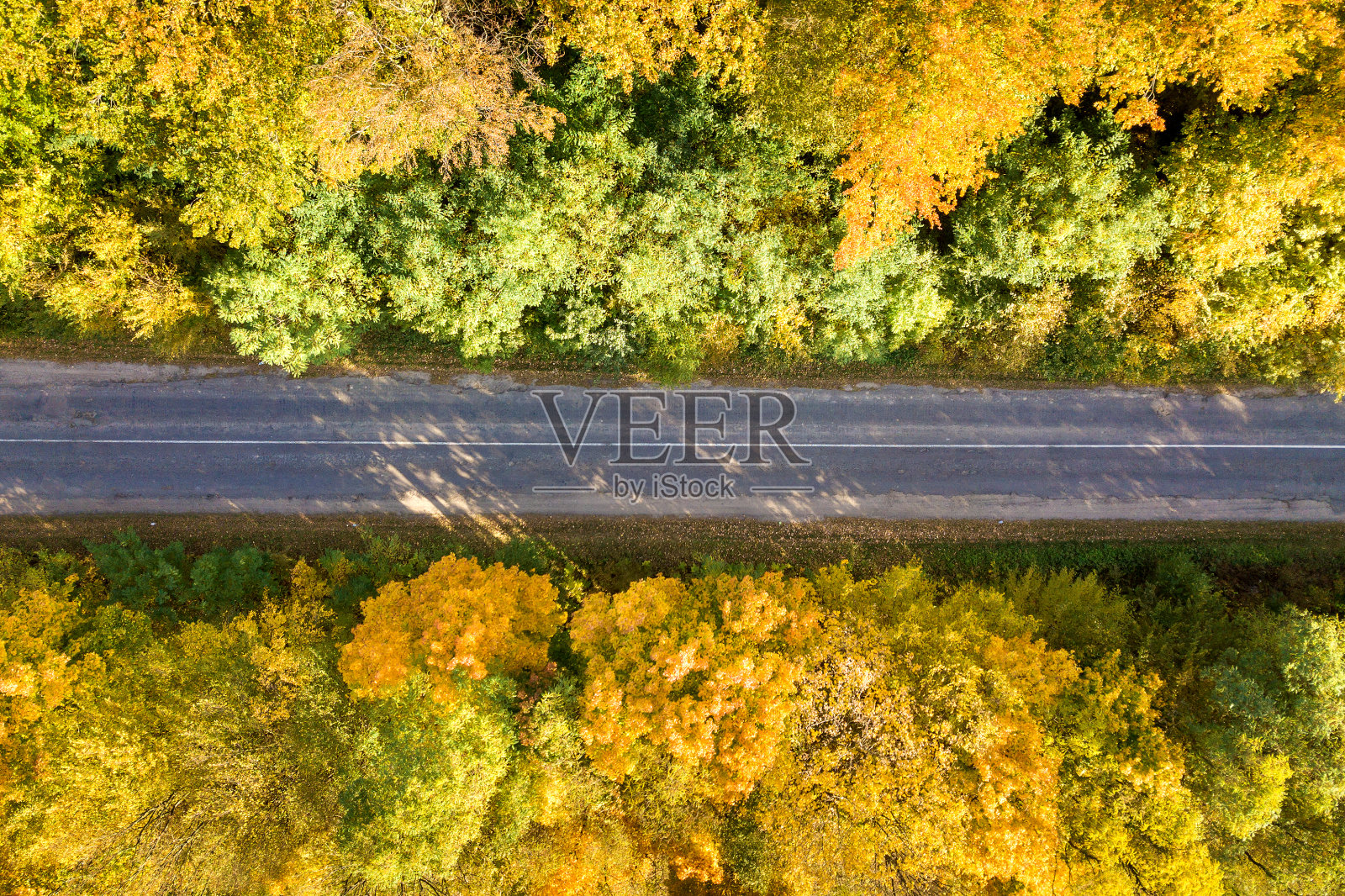 鸟瞰图之间的黄色秋天的树空道路。照片摄影图片