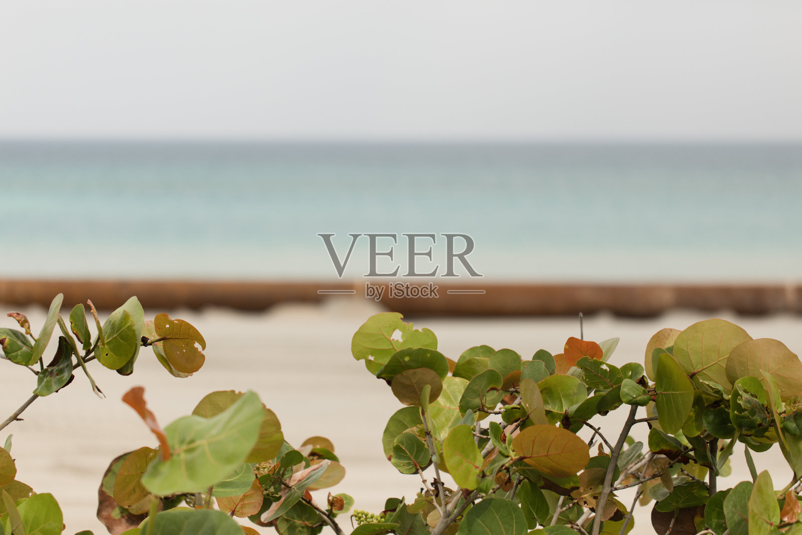 在COVID-19和复活节周期间，佛罗里达棕榈滩建设照片摄影图片