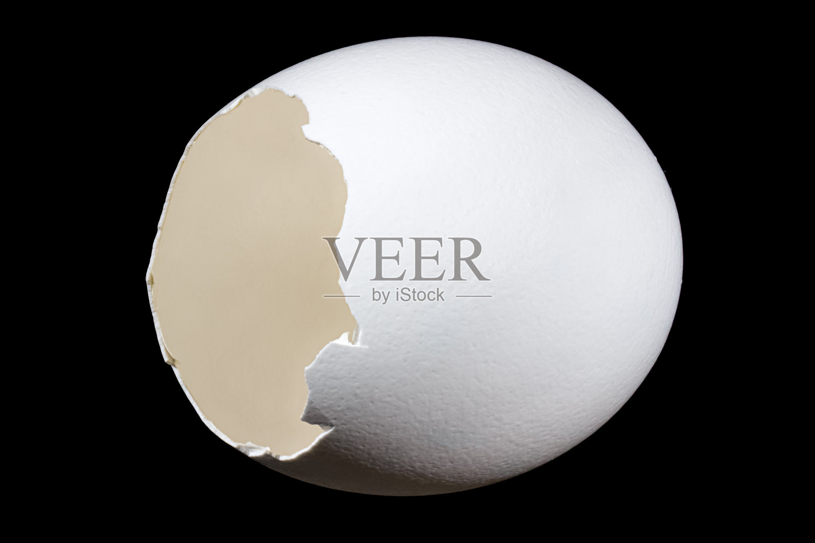 躺在空荡荡的白色蛋壳孤立在黑色的背景照片摄影图片