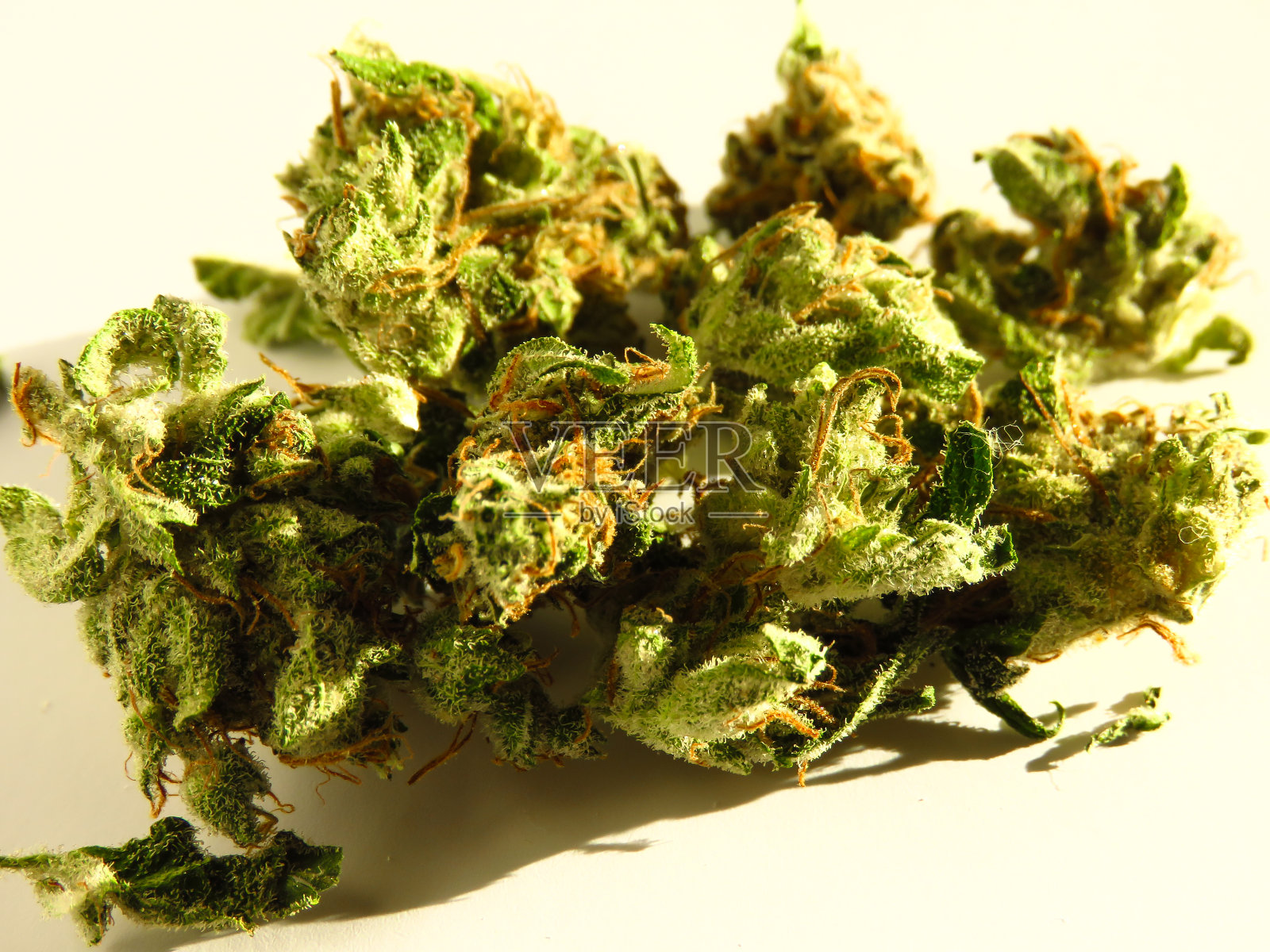 医疗大麻味蕾照片摄影图片