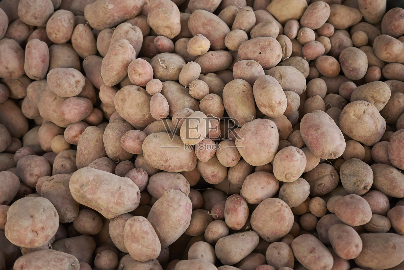 土豆照片摄影图片