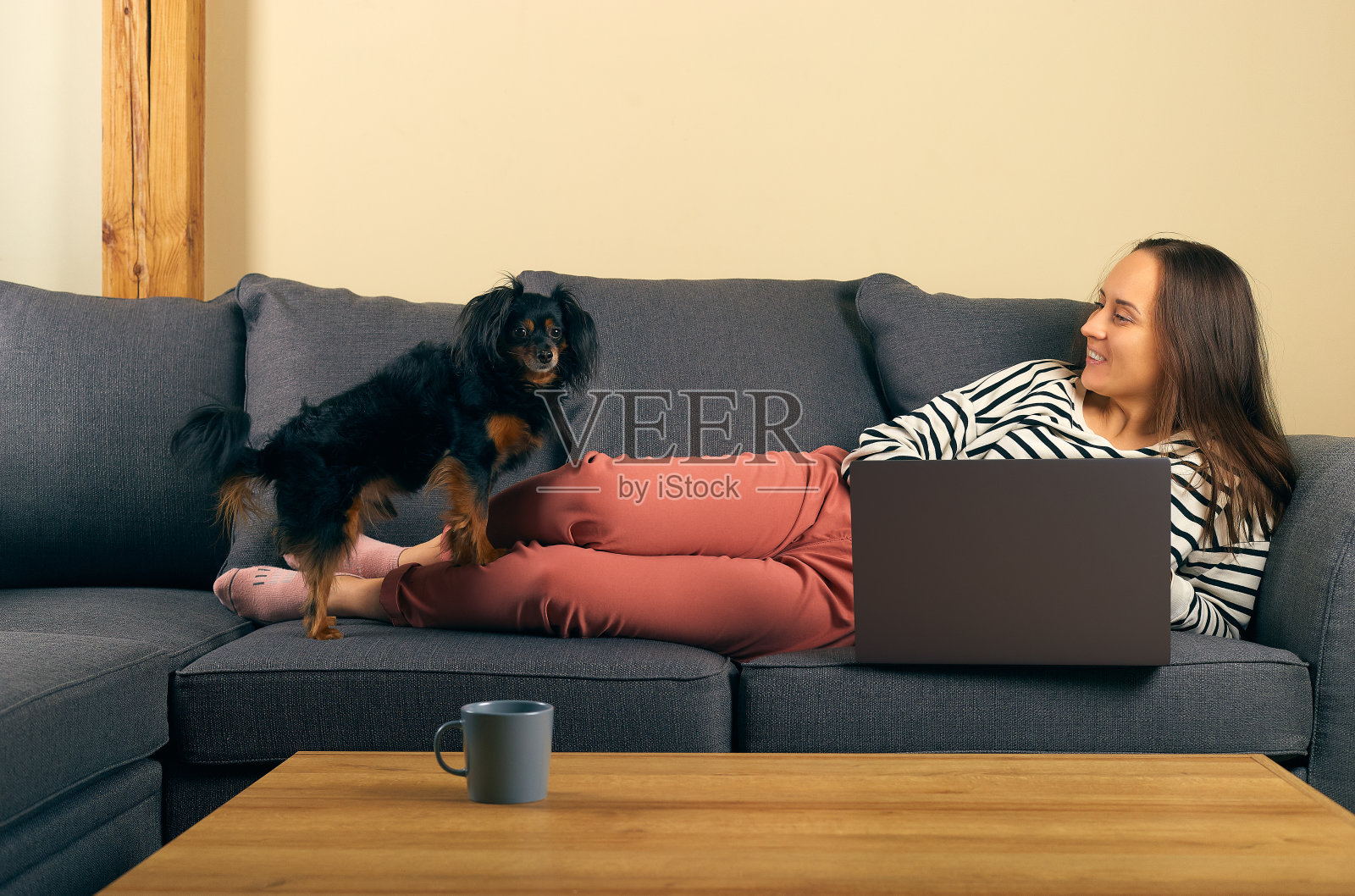 一位远程办公的妇女正躺在沙发上用笔记本电脑打字，看着她的小狗照片摄影图片