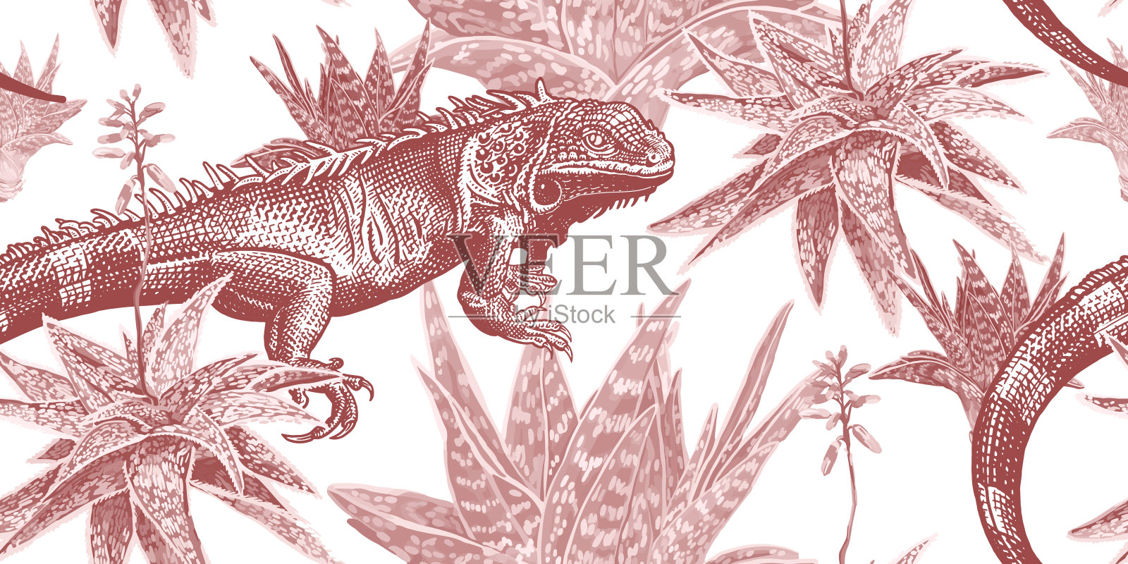 植物和蜥蜴。鬣蜥和肉质植物。古董无缝模式插画图片素材