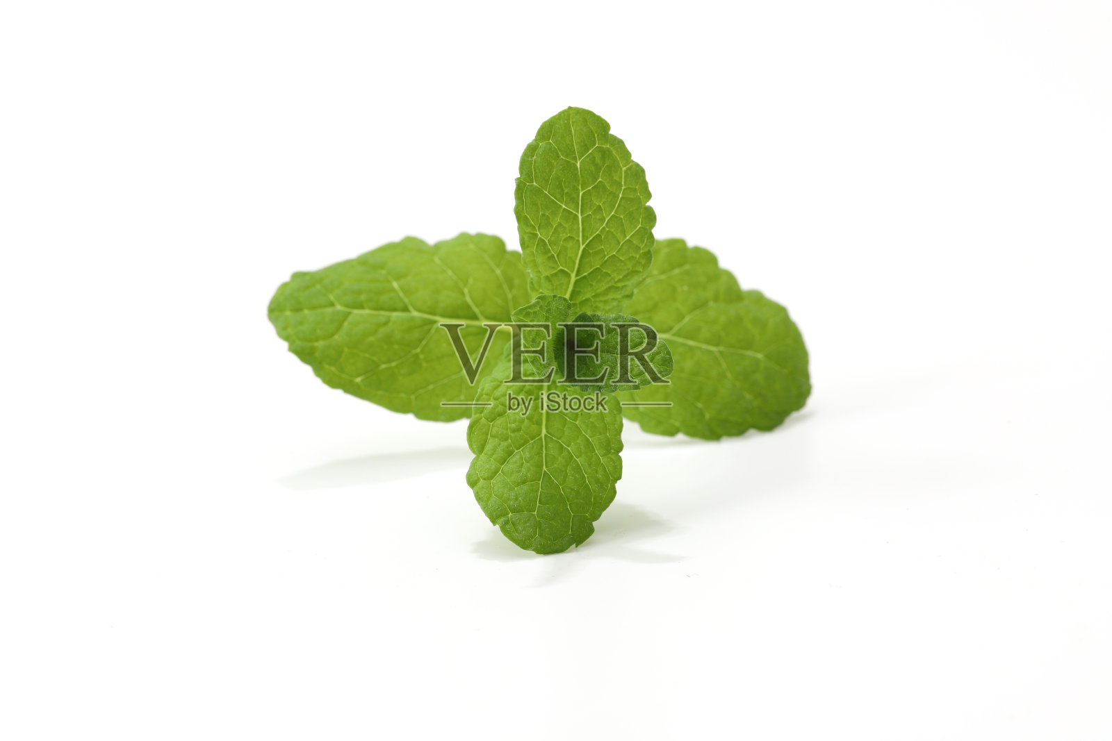 白色背景下的苹果薄荷叶照片摄影图片