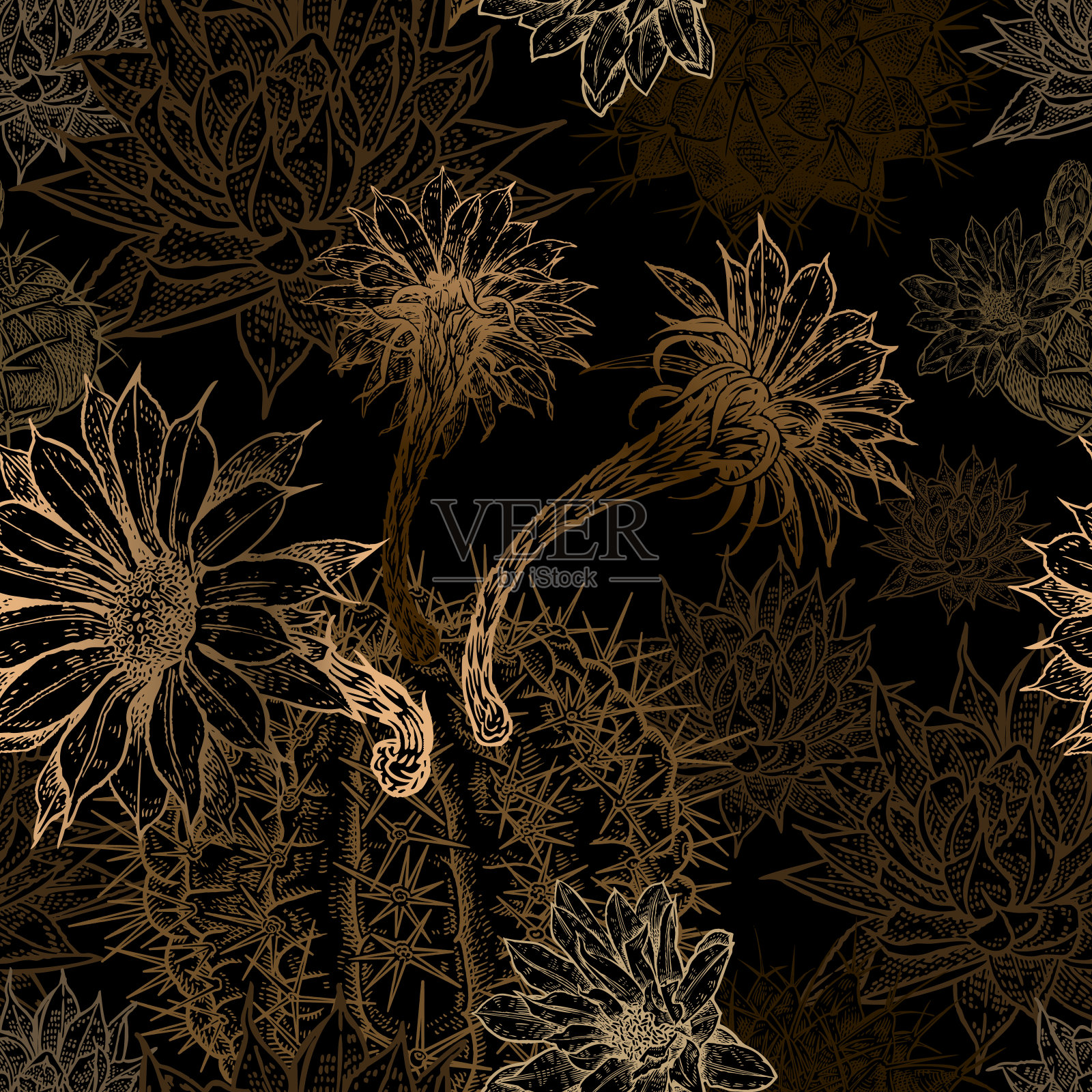 豪华无缝模式。黑色背景上的金色仙人掌插画图片素材