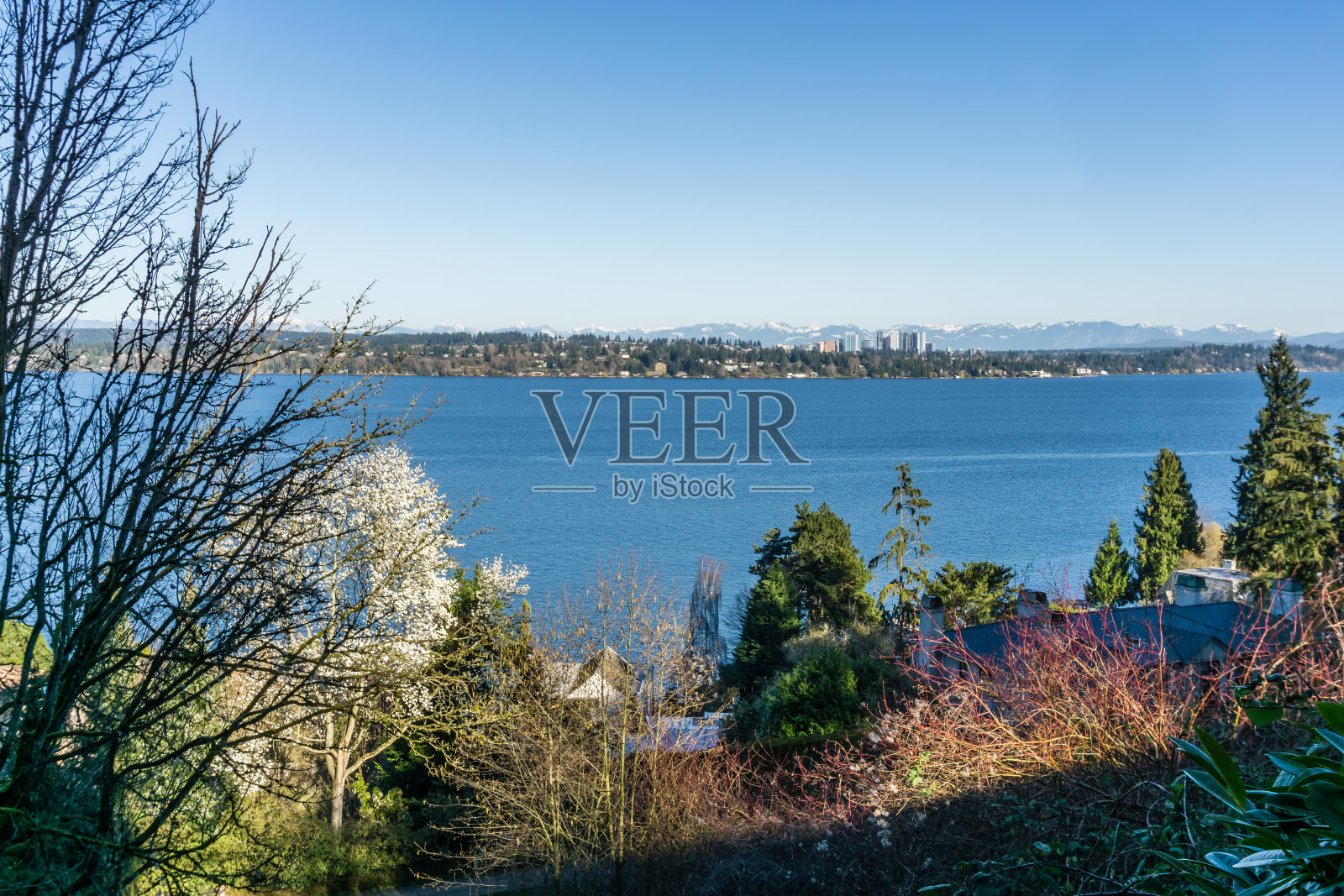 风景秀丽的华盛顿湖2照片摄影图片