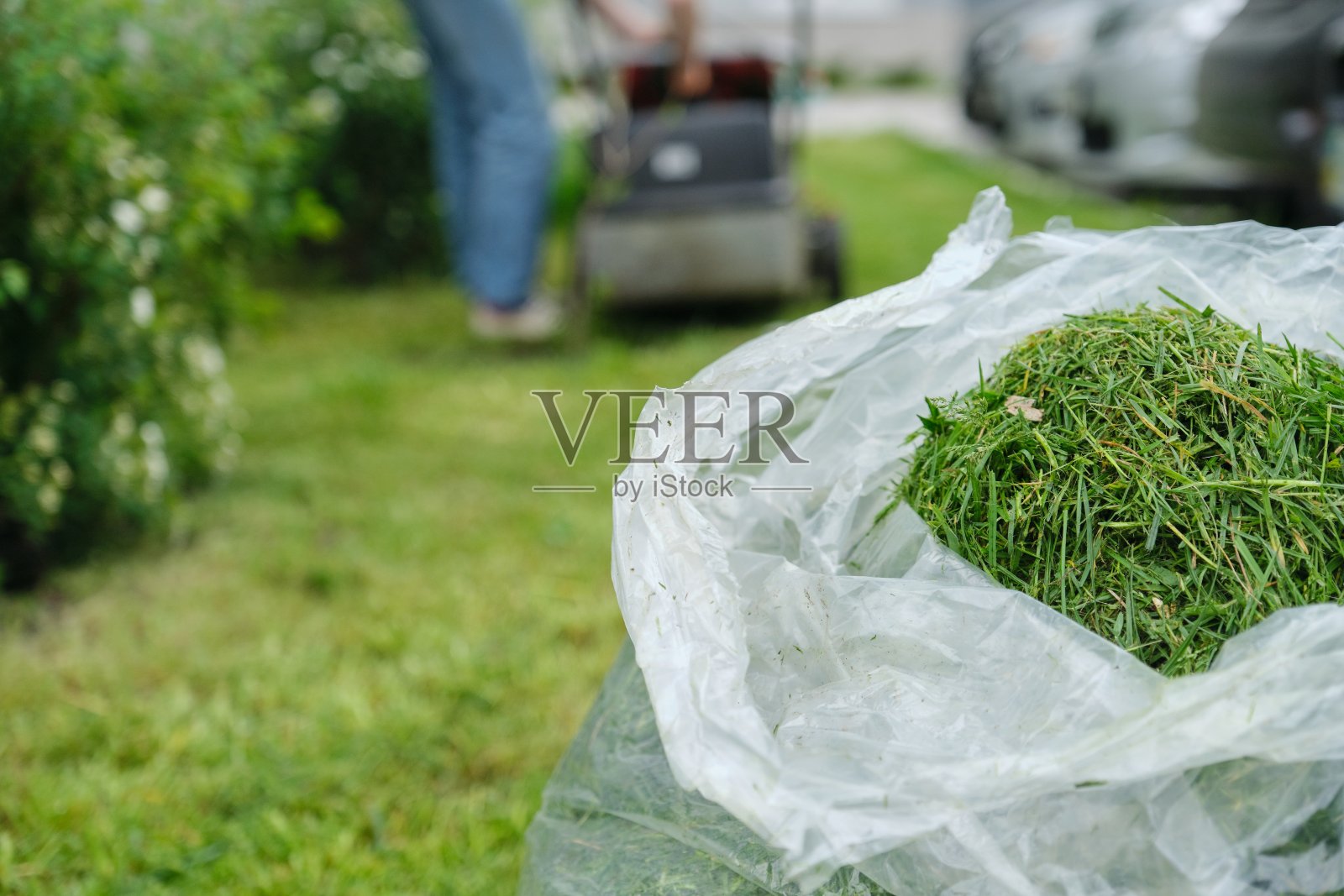 新割的草包装，背景工作割草机照片摄影图片