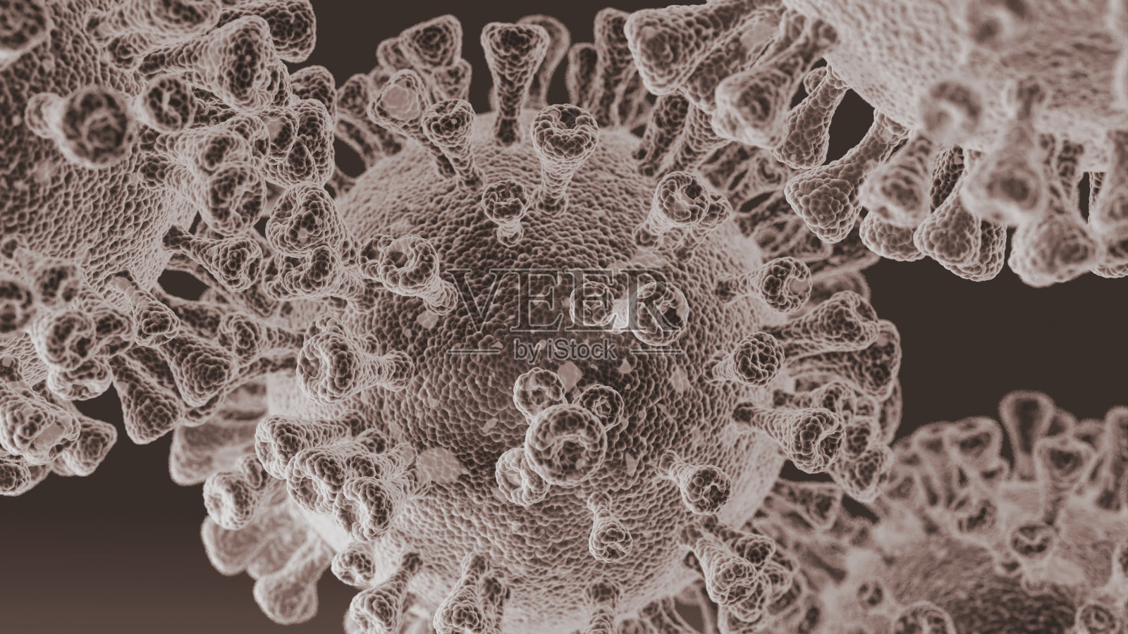 特写寄生虫病毒细胞在显微镜下在专门的实验室在灰色背景的黑白图像3D插图照片摄影图片