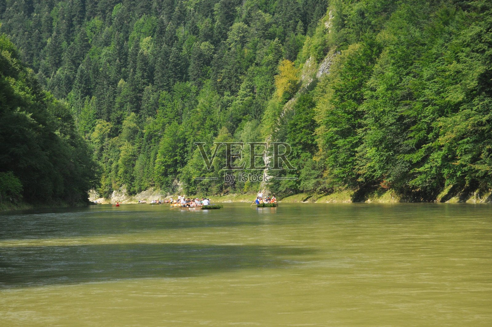 在Pieniny国家公园的Dunajec河上用绳子绑着木制折叠梭漂流。筏子在湍急的河流上划桨，河流底部有岩石，水流湍急。照片摄影图片