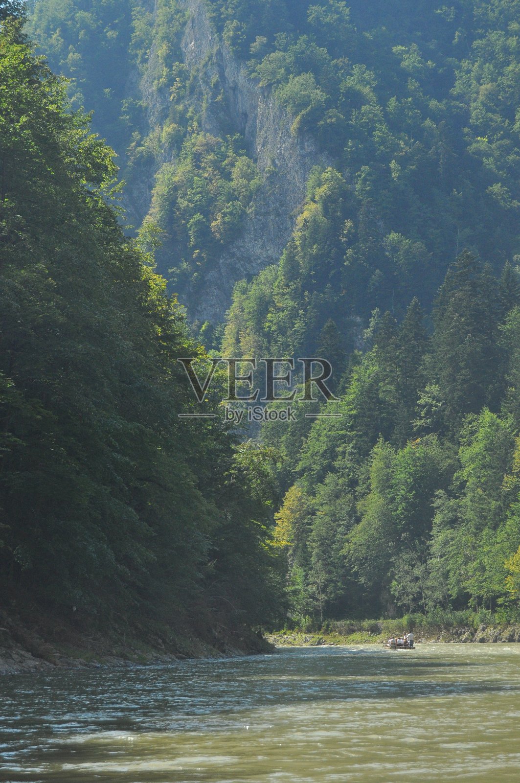 在Pieniny国家公园的Dunajec河上用绳子绑着木制折叠梭漂流。筏子在湍急的河流上划桨，河流底部有岩石，水流湍急。照片摄影图片