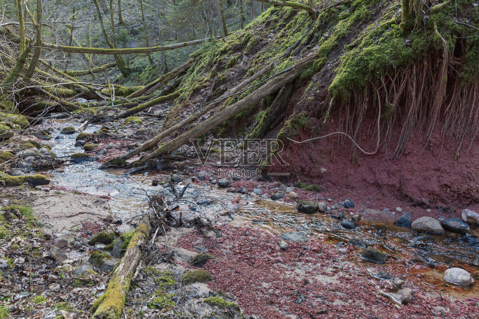 城市Sigulda,拉脱维亚。历史悠久的粘土悬崖和河流。旅行的照片。照片摄影图片