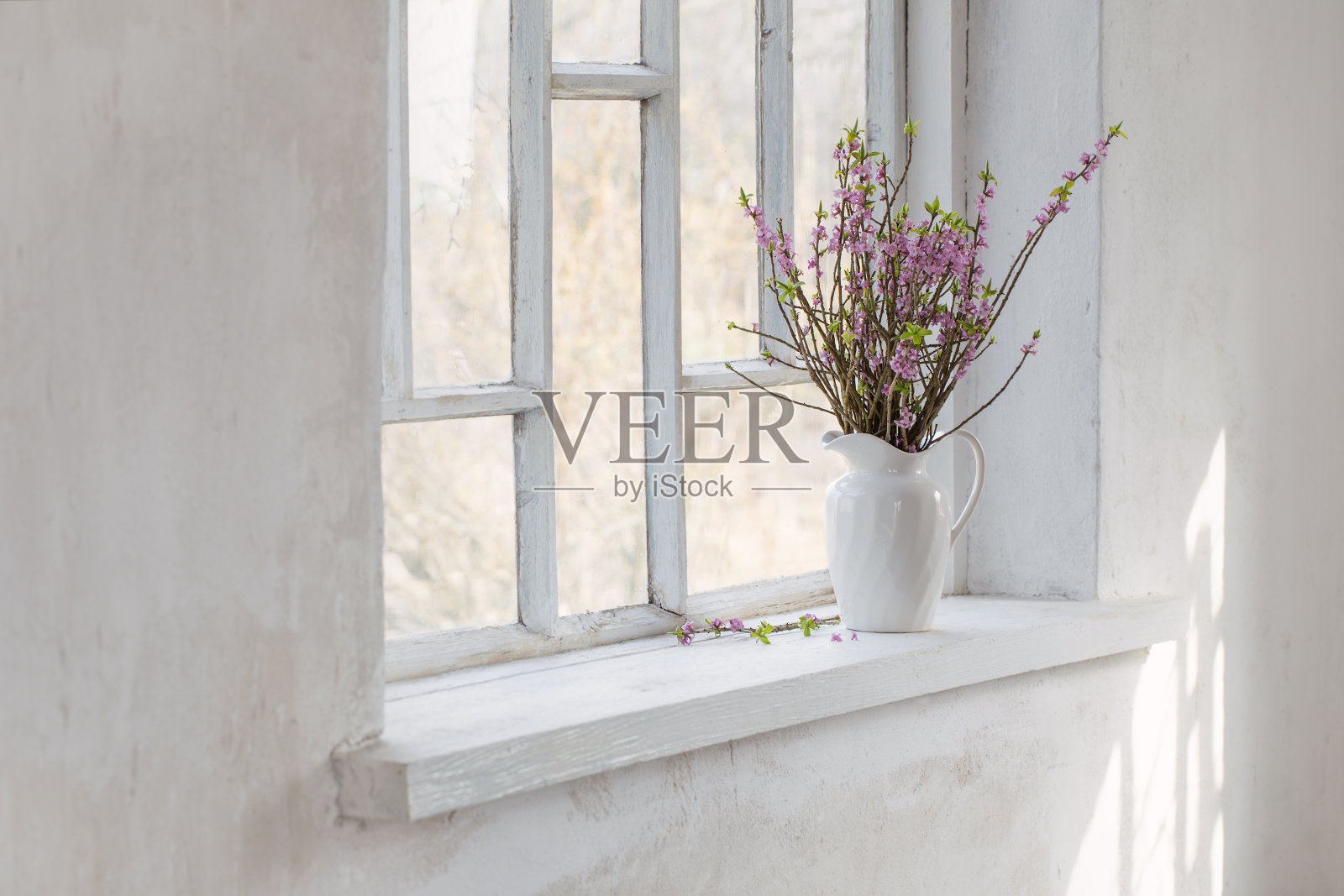 古董窗台上的花瓶里插着达芙妮花照片摄影图片