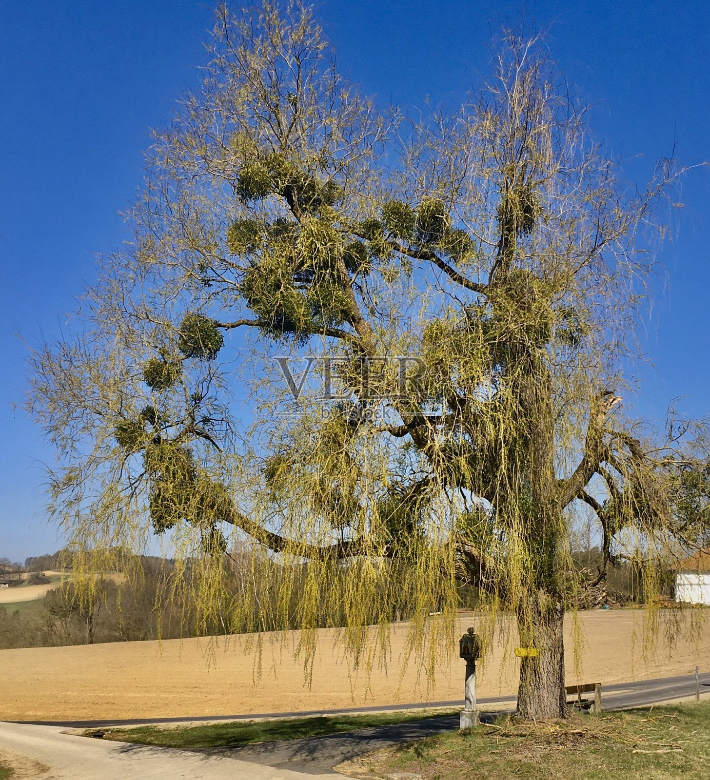 费尔达斯特河(上奥地利/欧洲)照片摄影图片