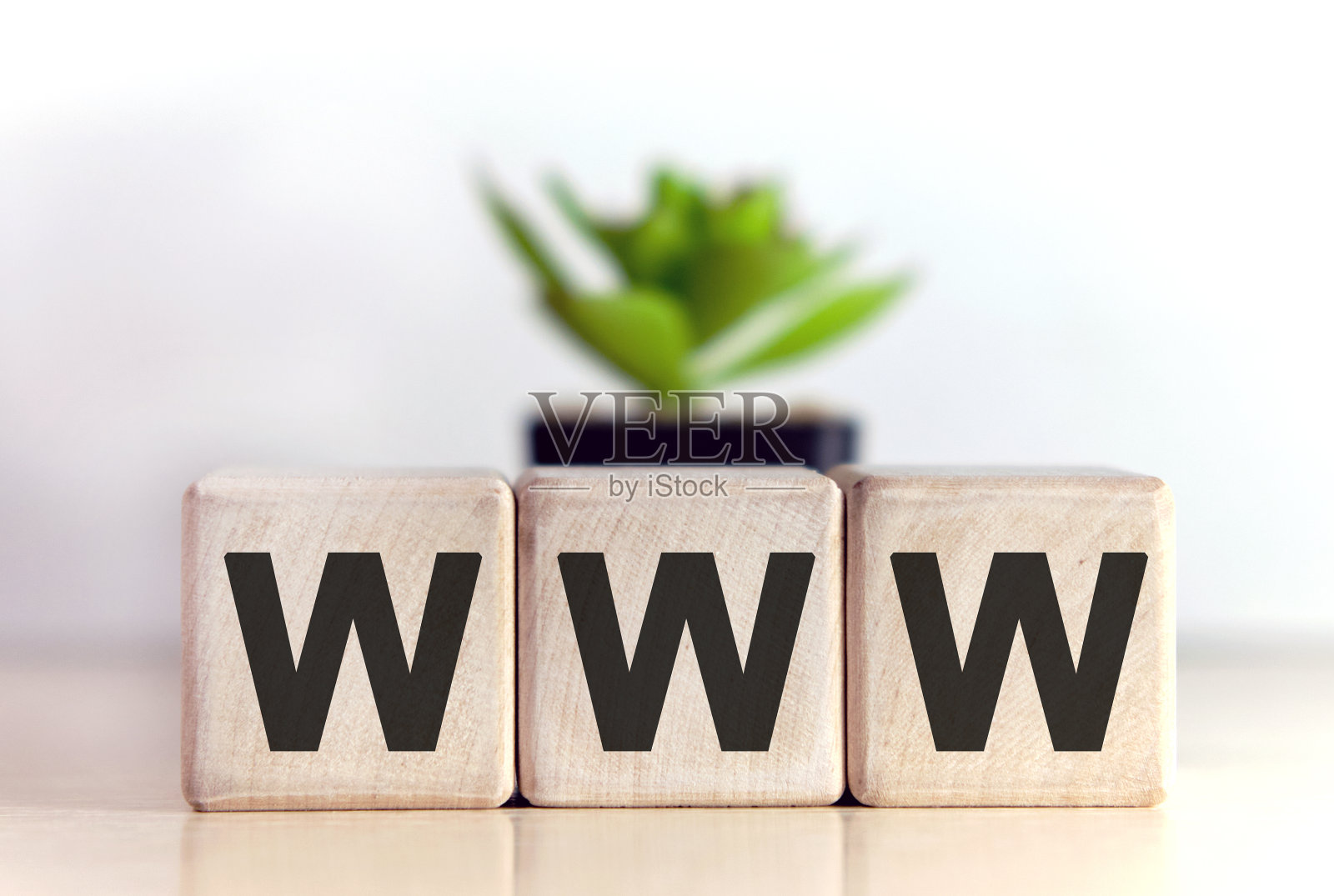 WWW概念木制立方体和花在一个盆在背景照片摄影图片