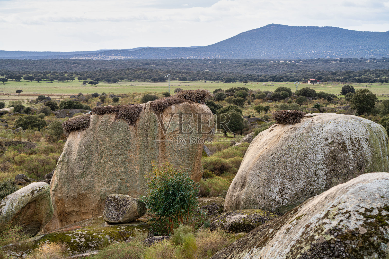 Los Barruecos Natural Monument, Malpartida de Caceres，埃斯特雷马杜拉，西班牙。照片摄影图片