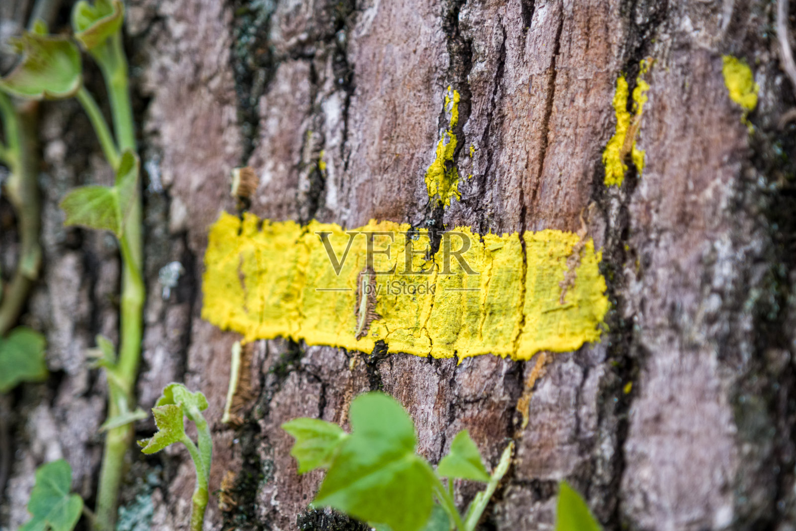 徒步旅行照片摄影图片