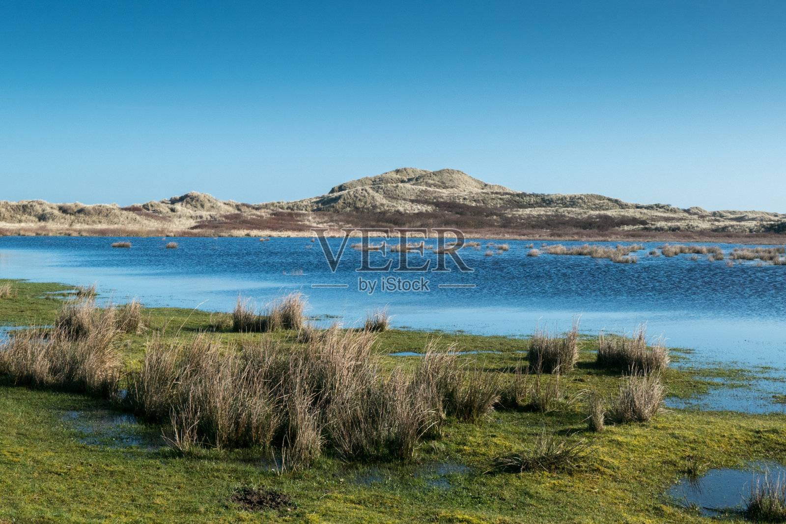 阳光明媚的沙丘景观中的小湖照片摄影图片