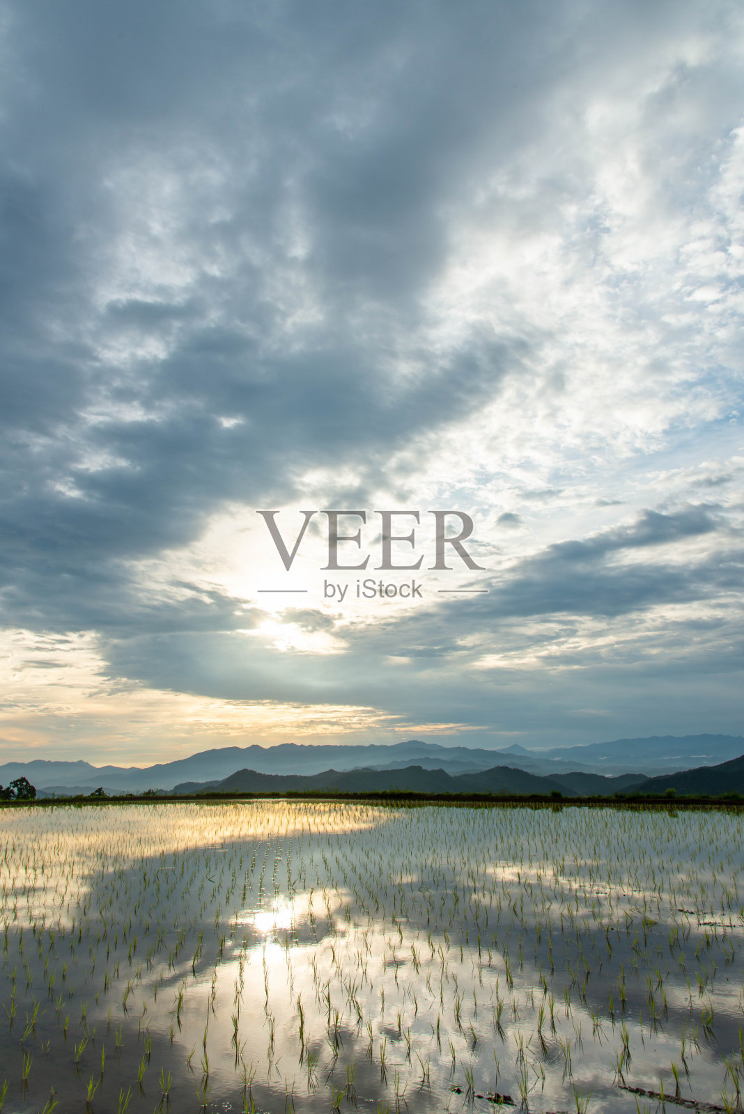 稻田里倒映着令人印象深刻的云彩照片摄影图片