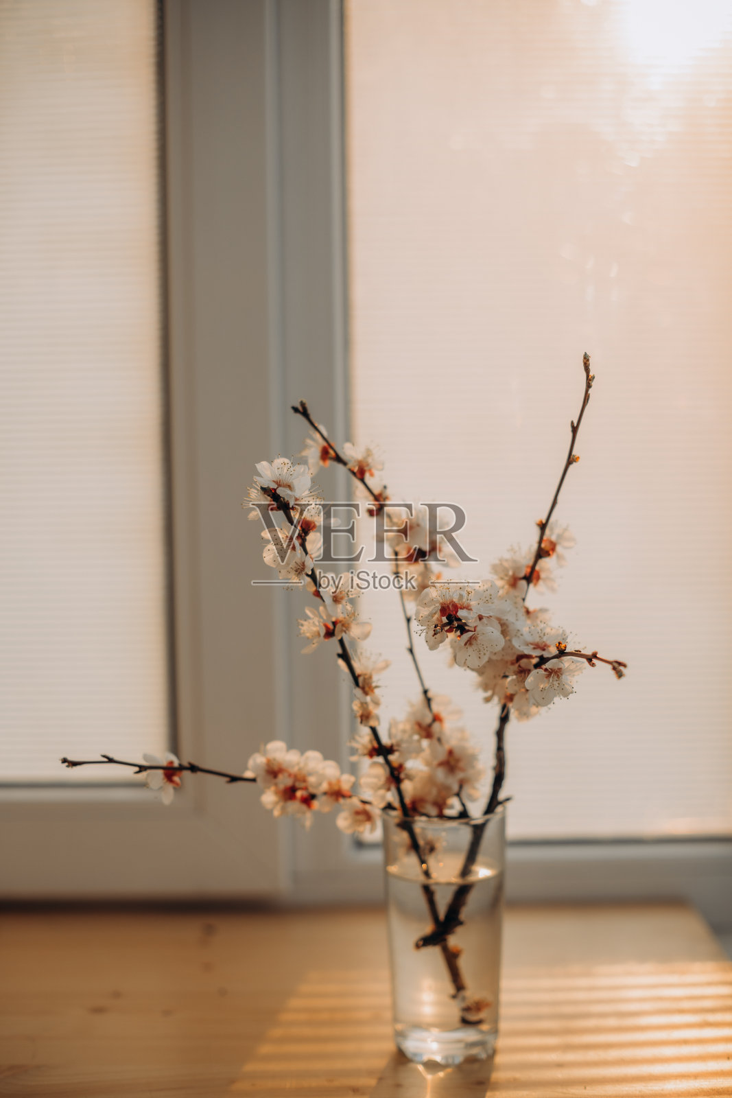 春天开花季节，花园树枝生长生命照片摄影图片