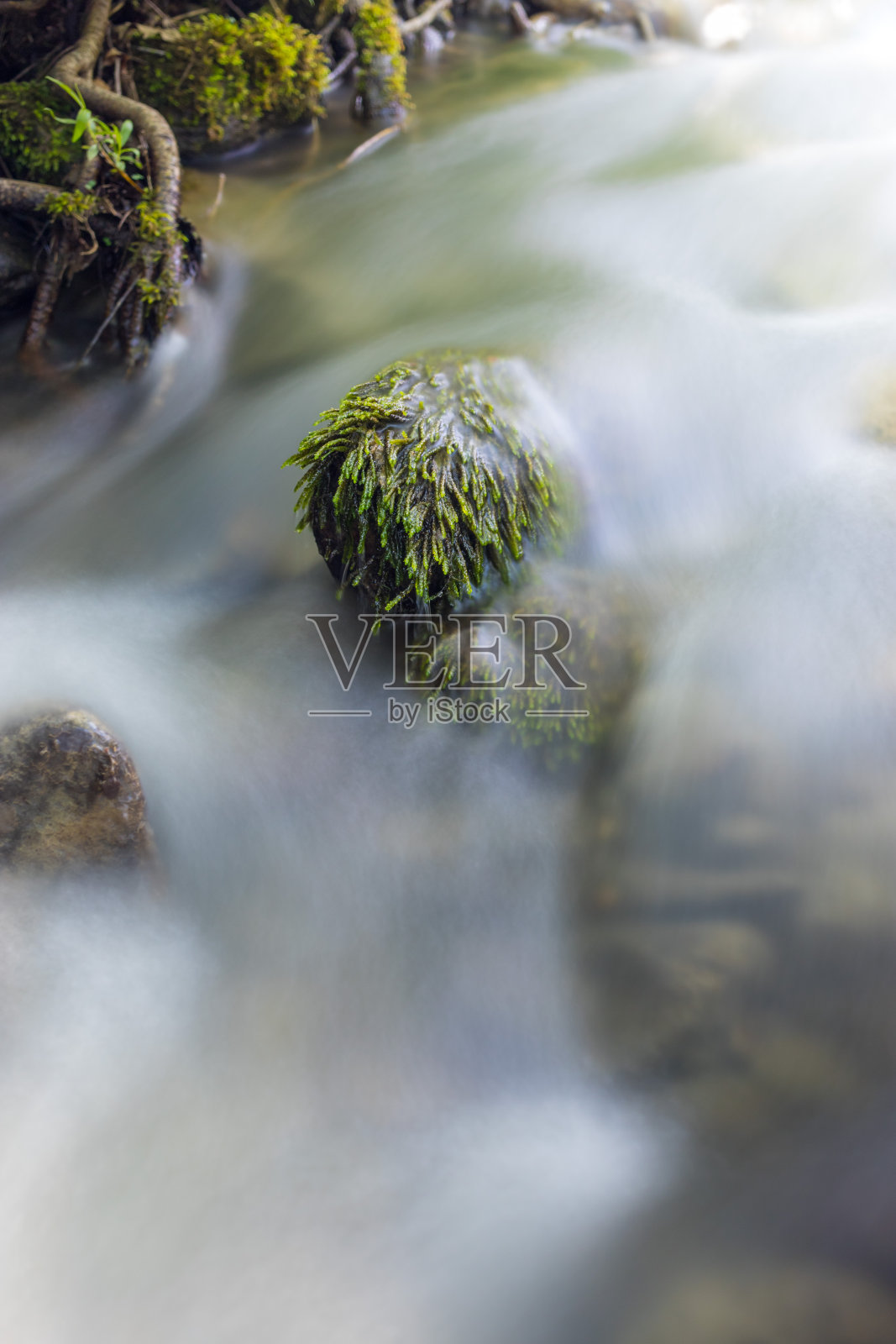 近距离的石头在河与绿色的过度生长。长时间暴露在山石溪内的森林。照片摄影图片