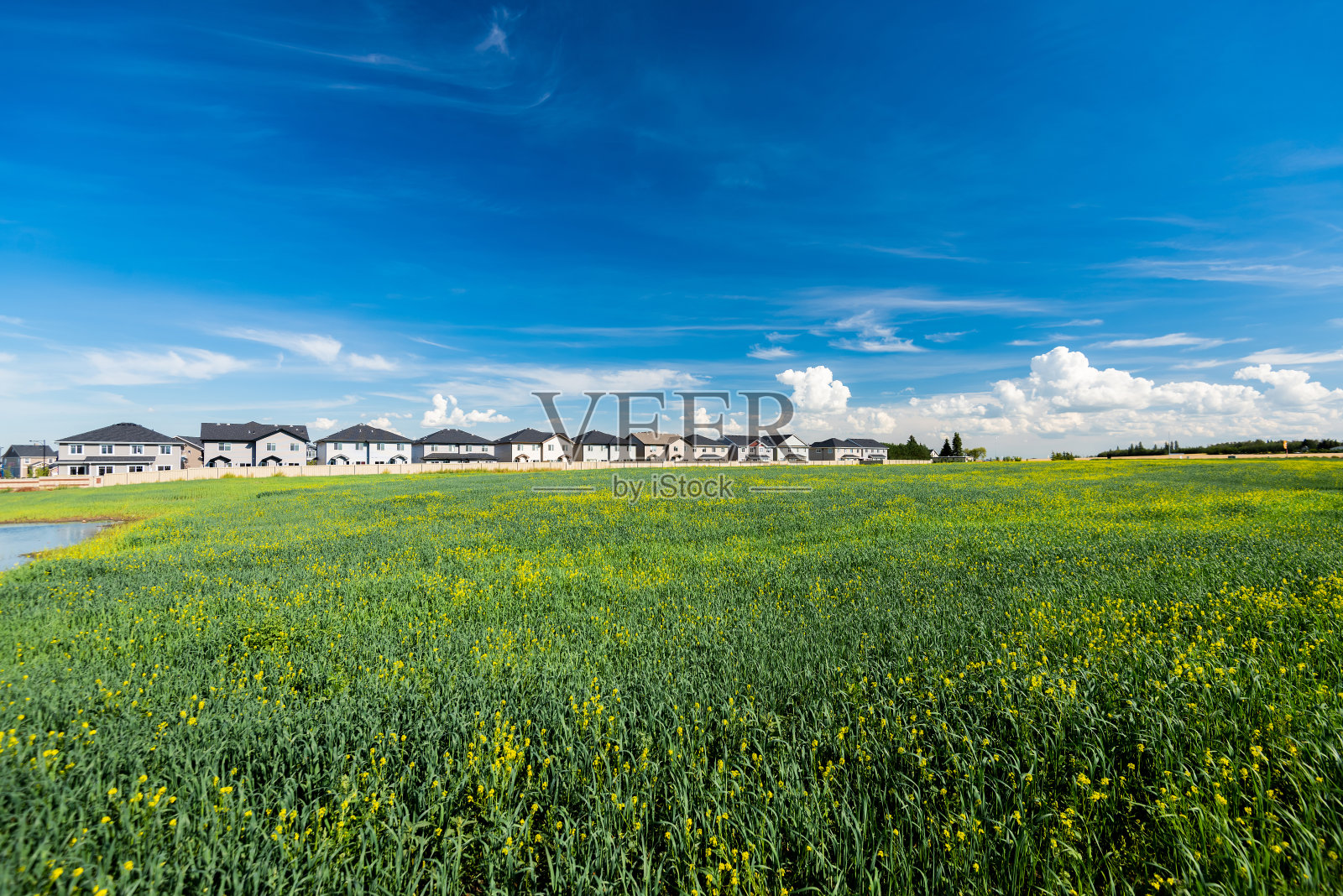 加拿大的漂亮房子照片摄影图片
