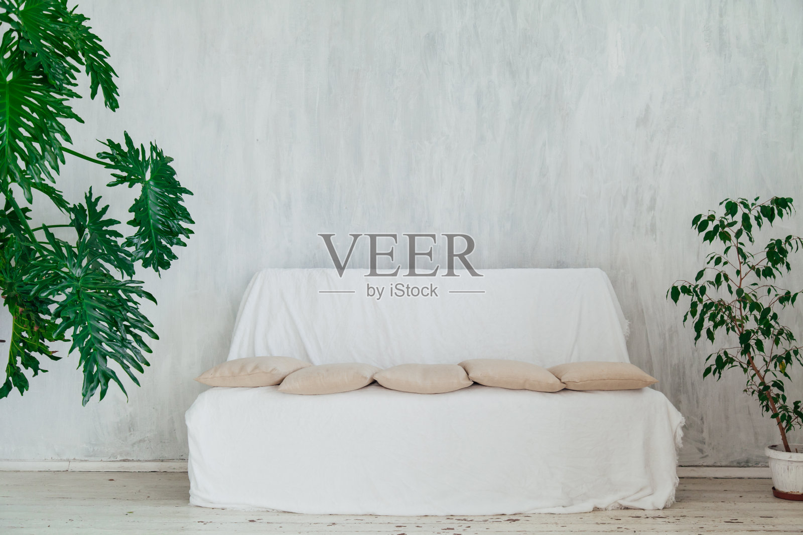 灰色房间的白色沙发，里面有植物照片摄影图片