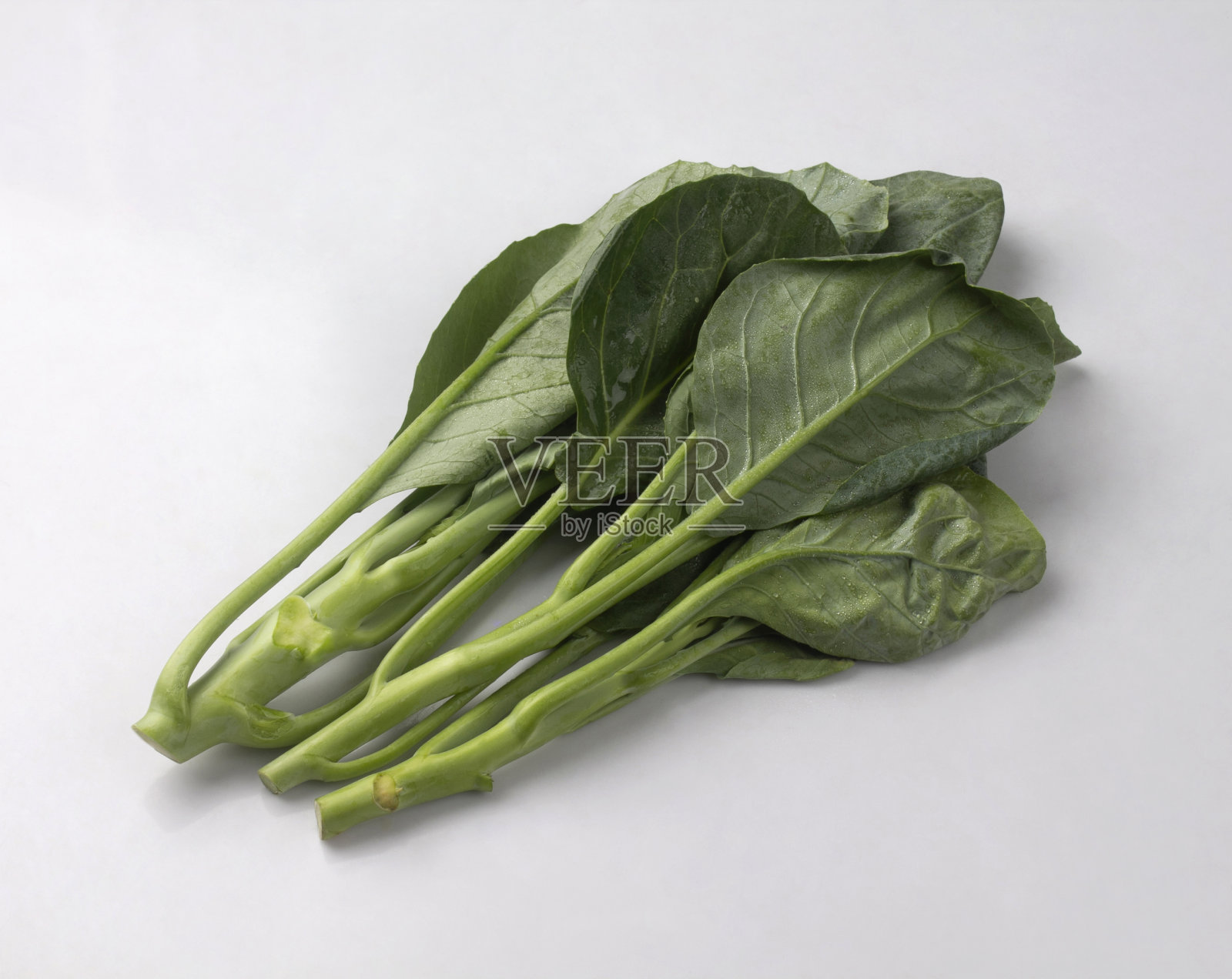 分离在白色上的新鲜绿色羽衣甘蓝照片摄影图片