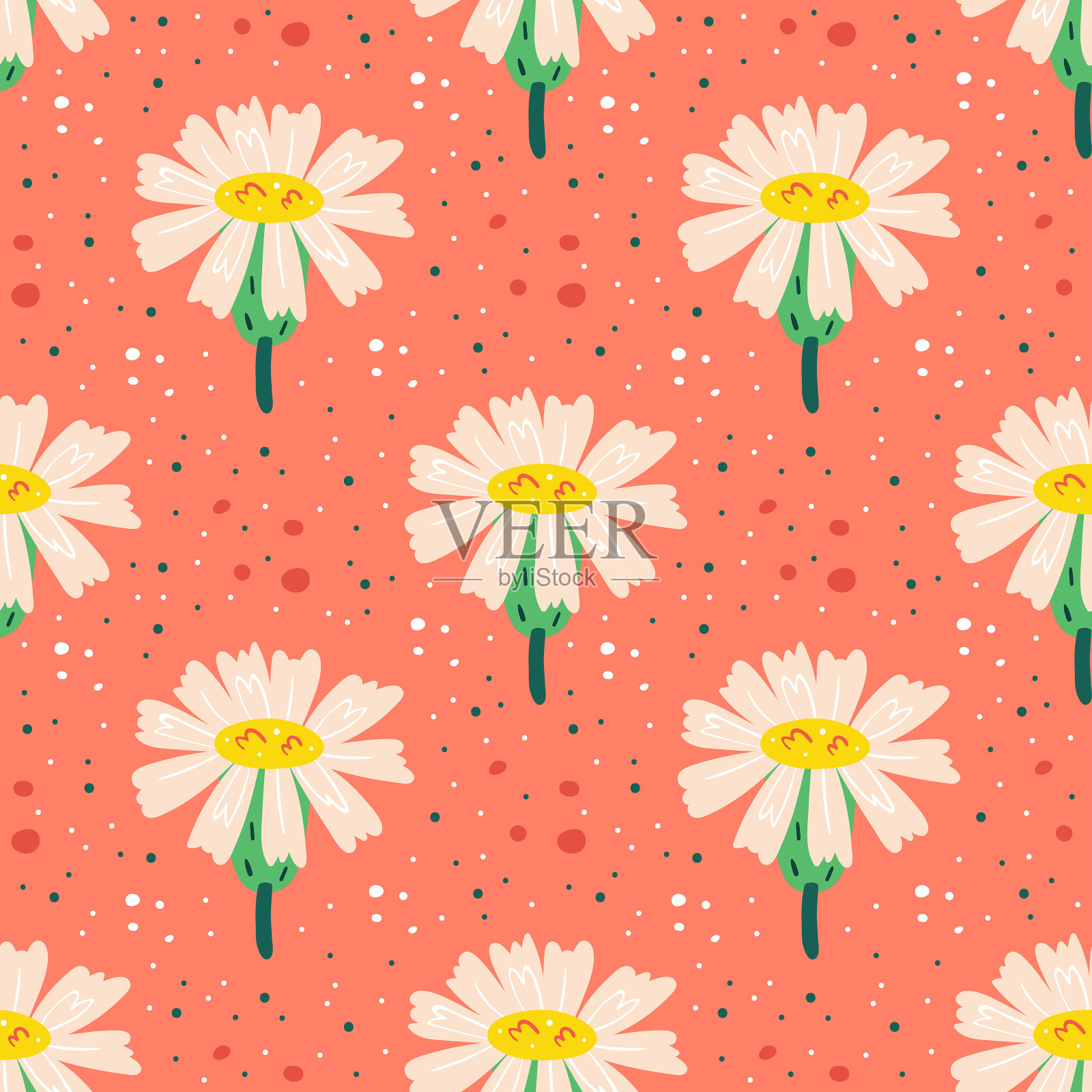 小白野花插画图片素材