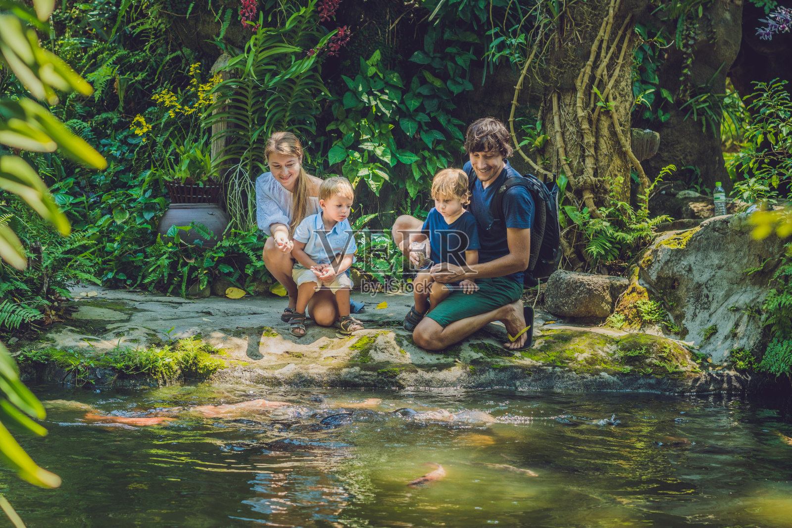 幸福家庭在热带池塘喂养彩色鲶鱼照片摄影图片