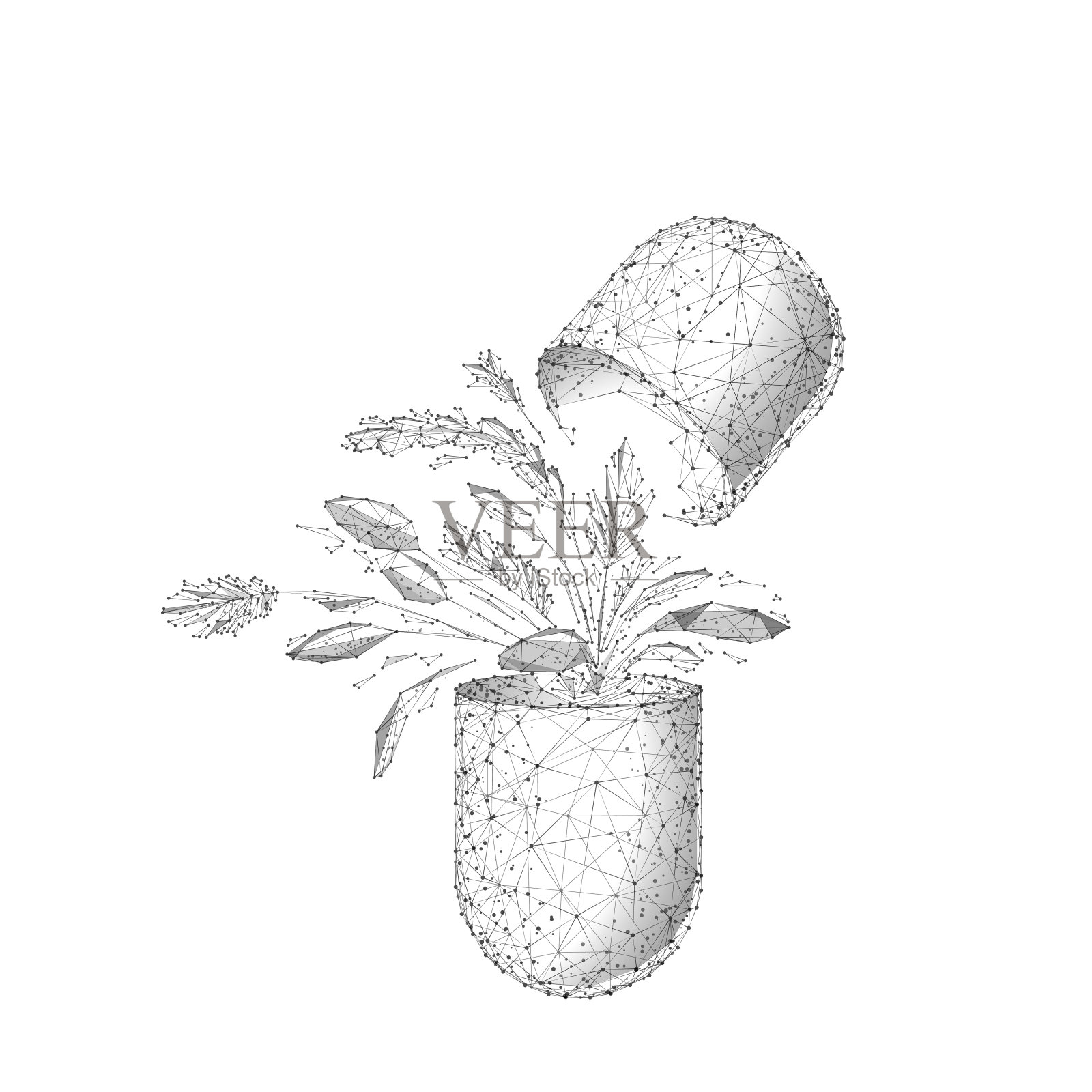 草药低多边形线框矢量插图设计元素图片