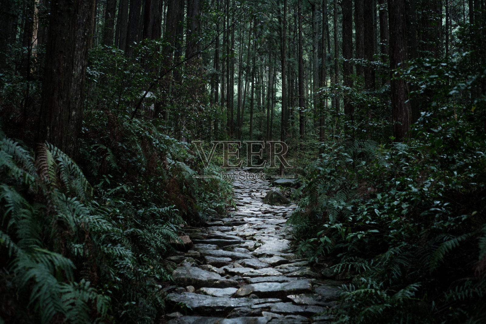 朝圣路线照片摄影图片