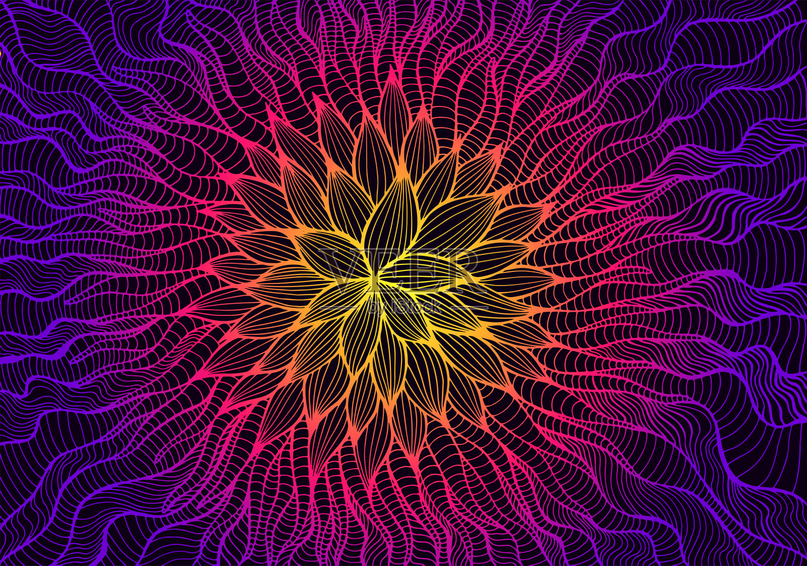 发光的迷幻抽象奇异的花，黄色粉红色紫罗兰梯度轮廓颜色，孤立在黑色的背景。艺术时尚卡与创意花。矢量手绘生动的插图插画图片素材