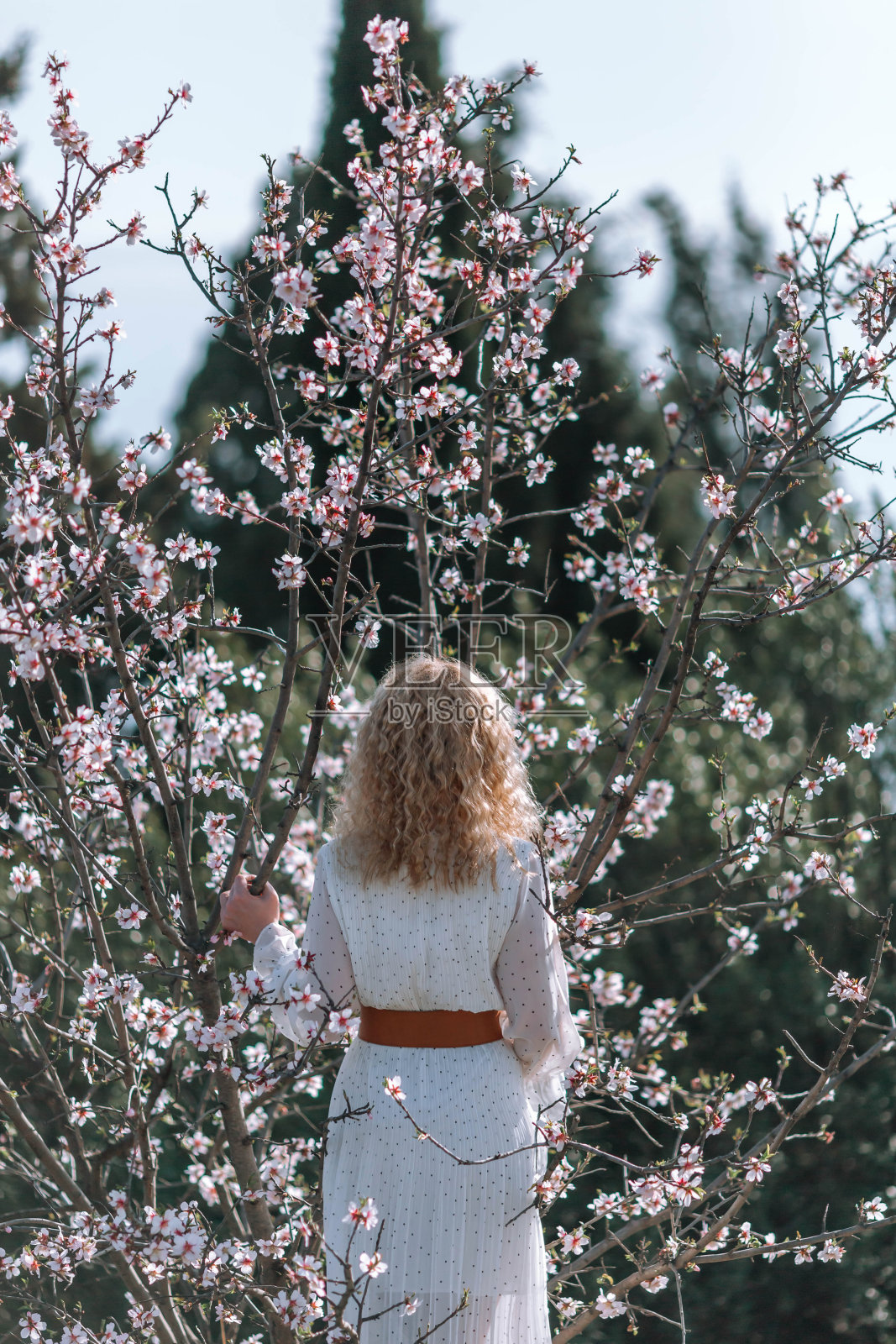 年轻女子在春天开花的树木前的肖像照片摄影图片