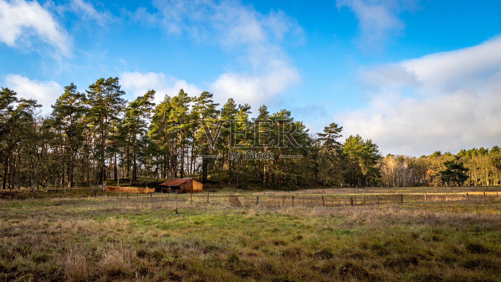 感觉自由照片摄影图片