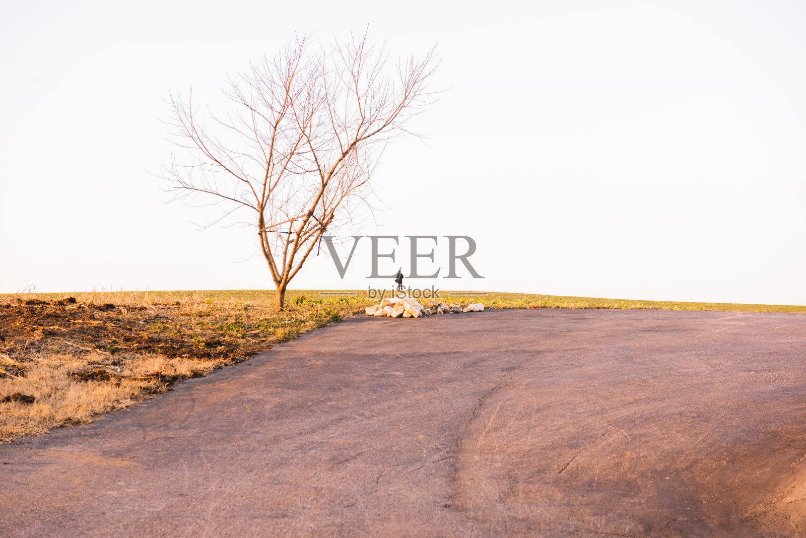 阿米什国家2照片摄影图片