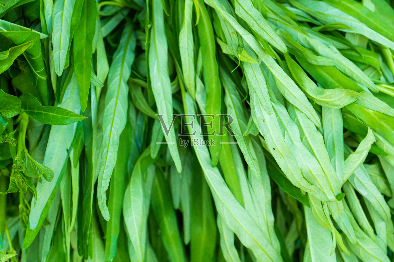 在亚洲卖新鲜蔬菜和香草的柜台。街头食品。照片摄影图片