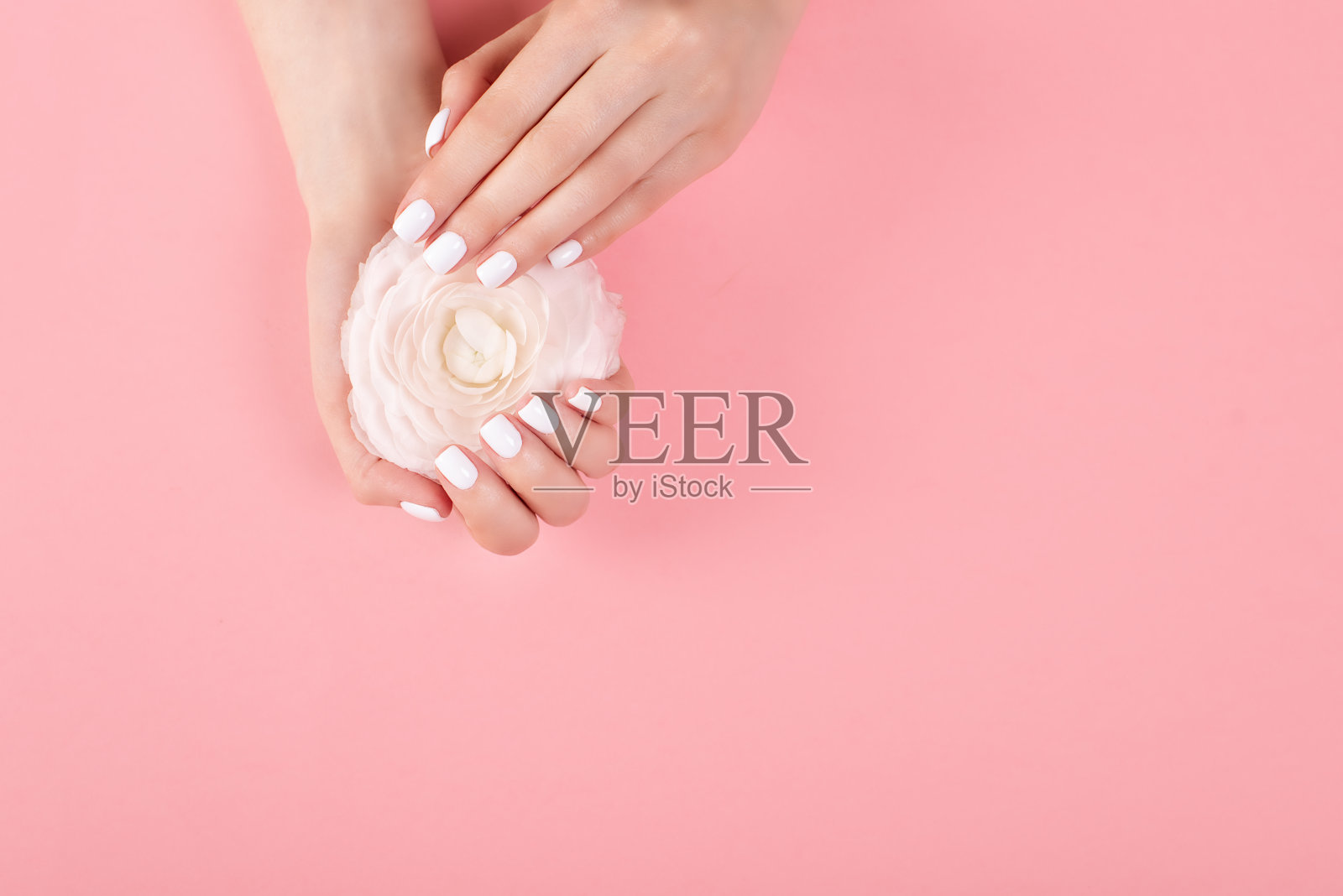 一个美丽女人的手在一个彩色的背景。精致的手掌，自然的美甲，干净的皮肤。亮粉红色的指甲。照片摄影图片