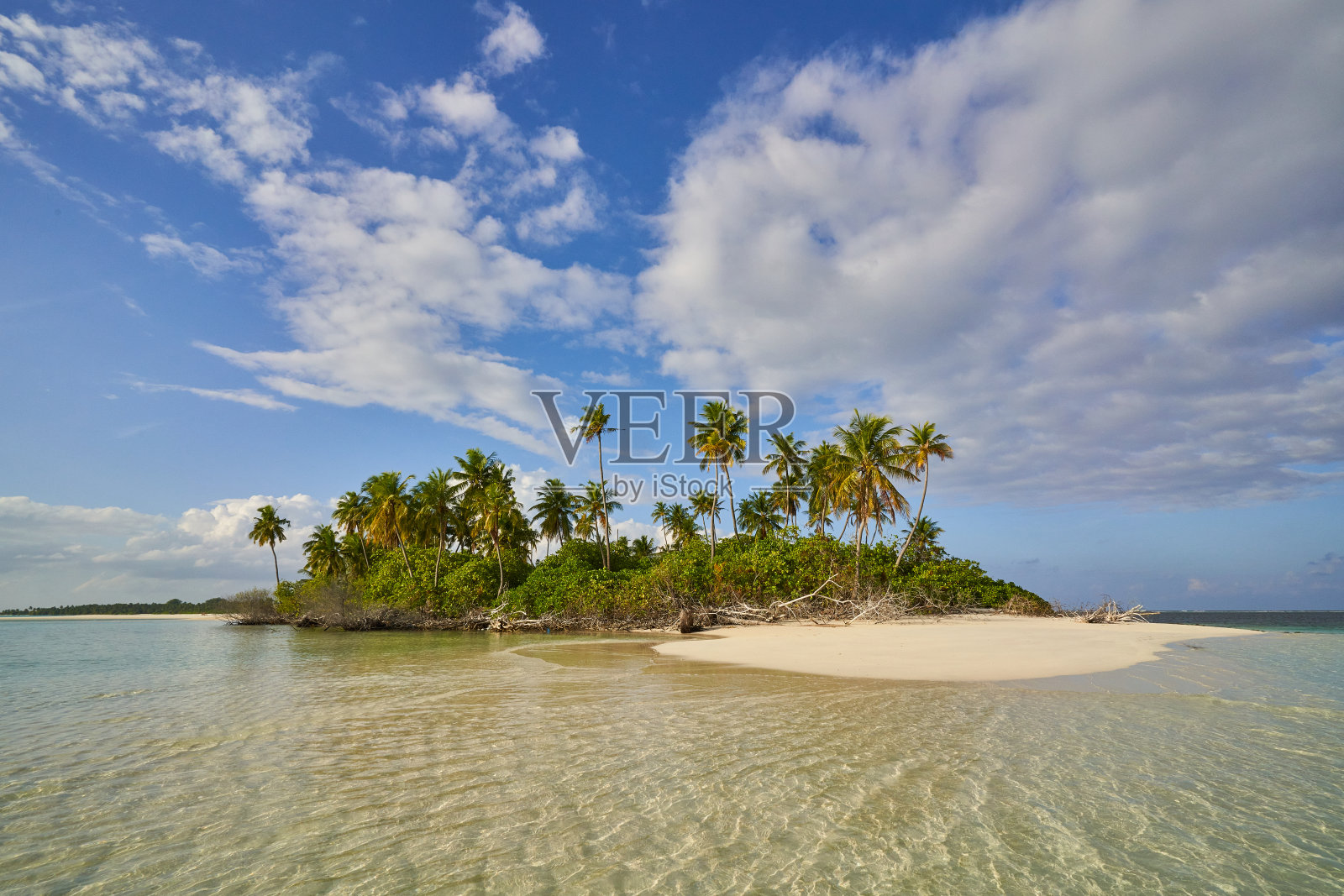 荒岛照片摄影图片