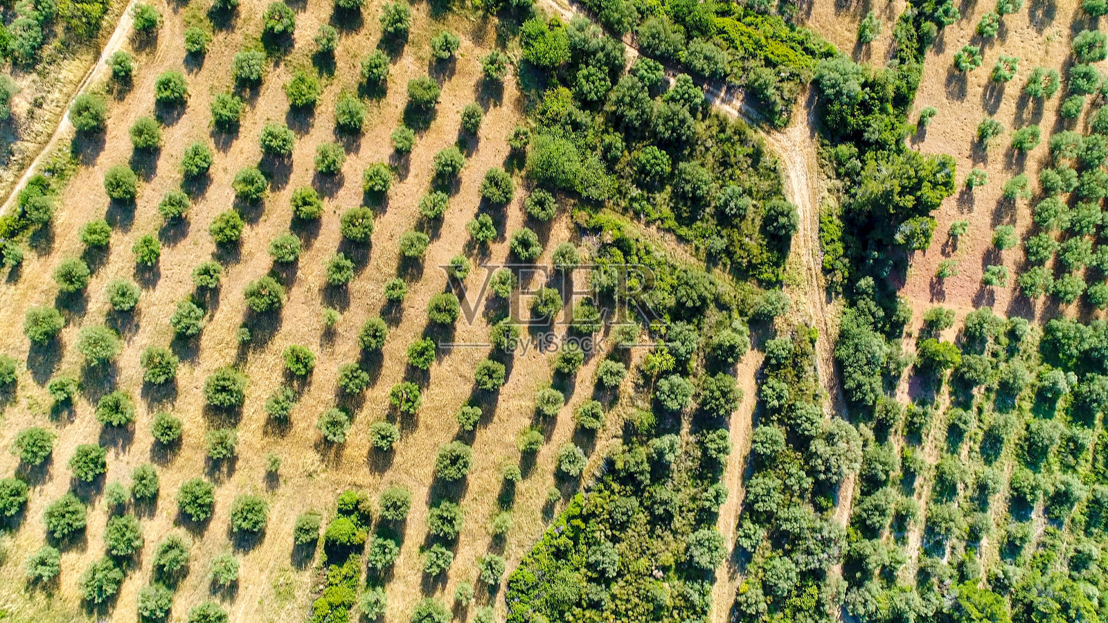 从空中俯瞰法国普罗旺斯Baux-de-Provence附近的Alpilles自然公园照片摄影图片