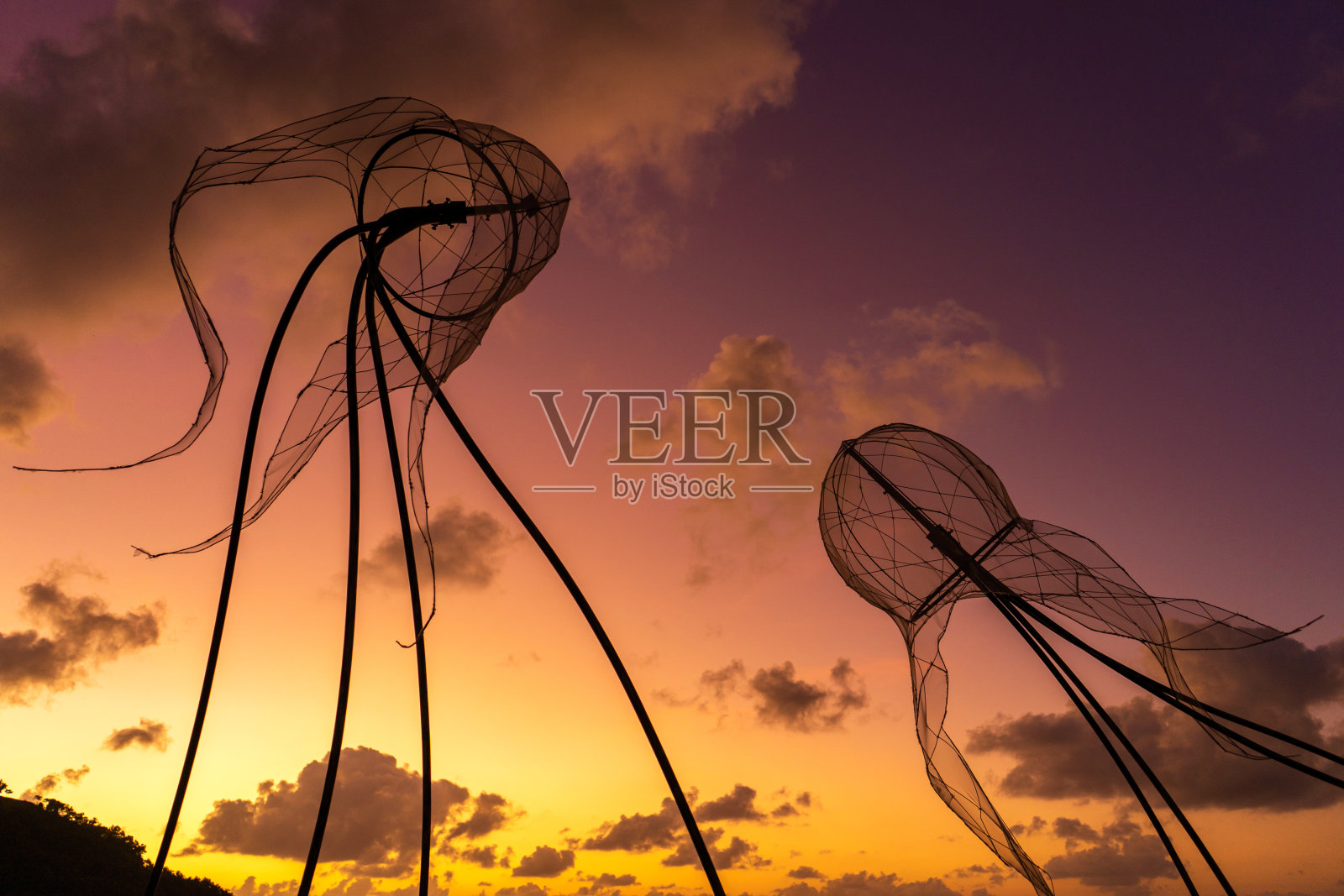 彩色日落背景上的水母图案。照片摄影图片