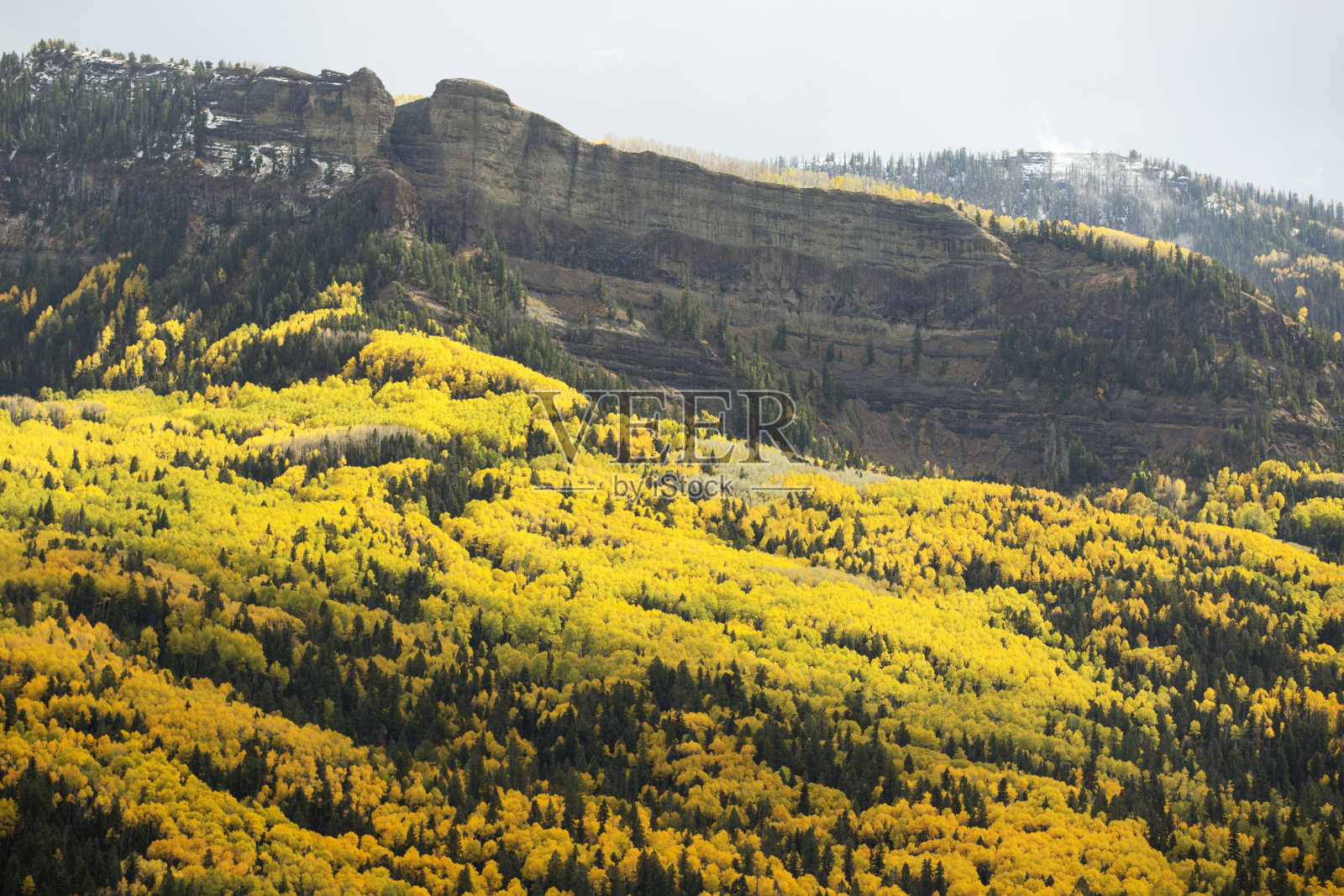 秋天，科罗拉多州山上覆盖着五颜六色的白杨树照片摄影图片