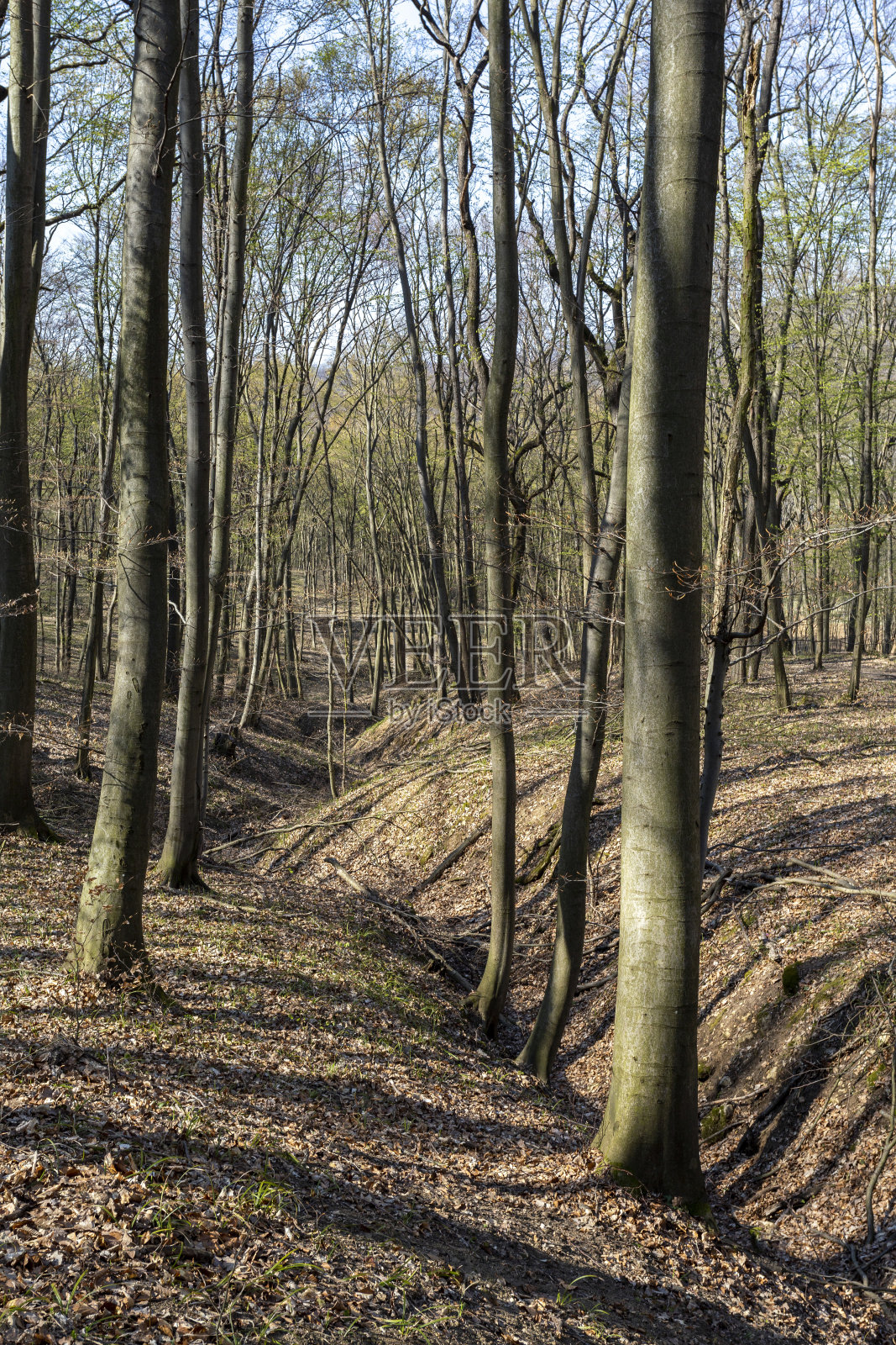 匈牙利纳斯利山徒步旅行路线照片摄影图片