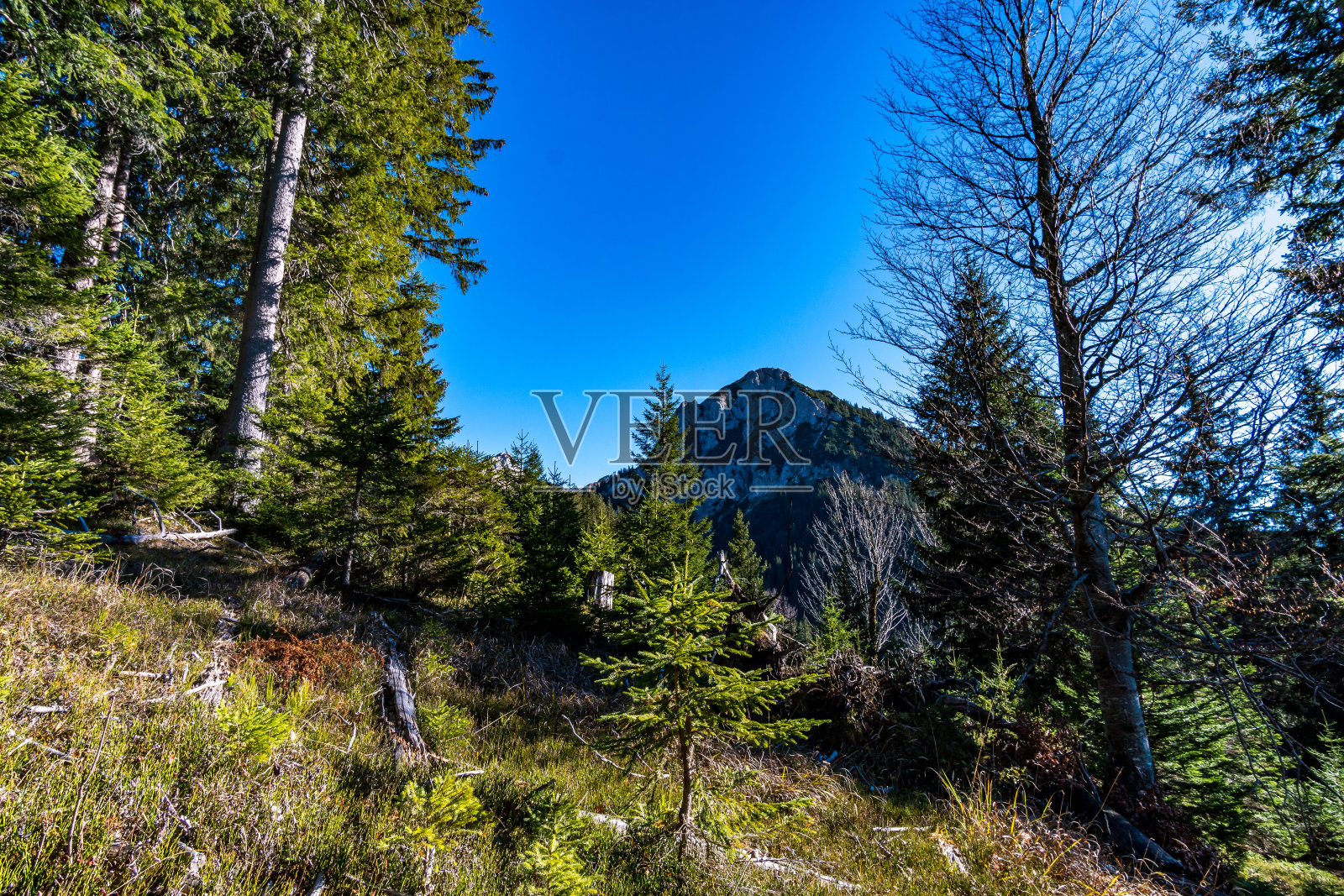 阿根斯坦的日落，在坦海姆山谷照片摄影图片