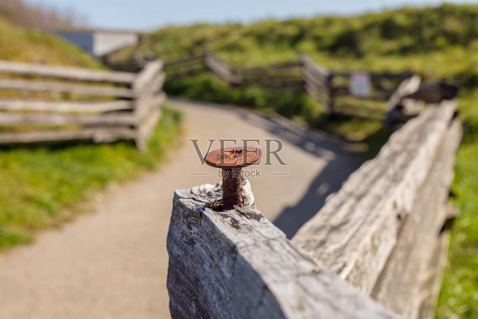 公园小径照片摄影图片