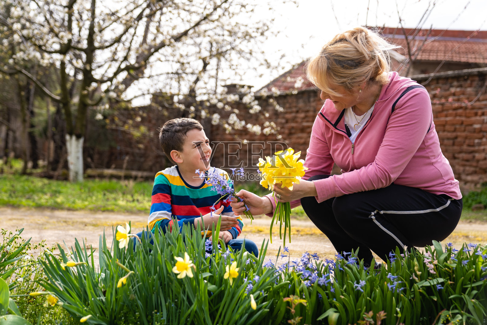 母亲和孩子们在采摘五颜六色的漂亮花朵照片摄影图片